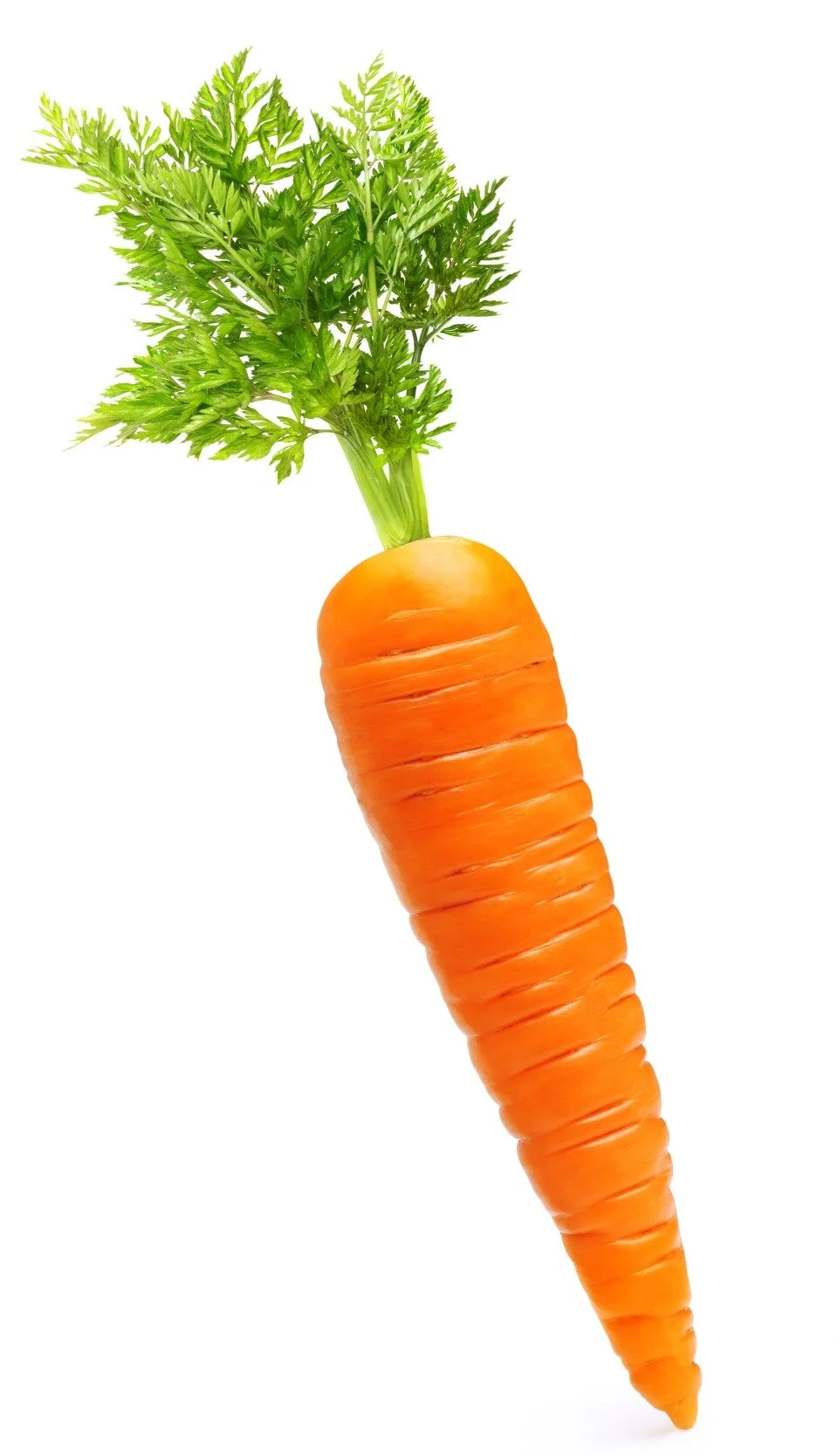 Carrots