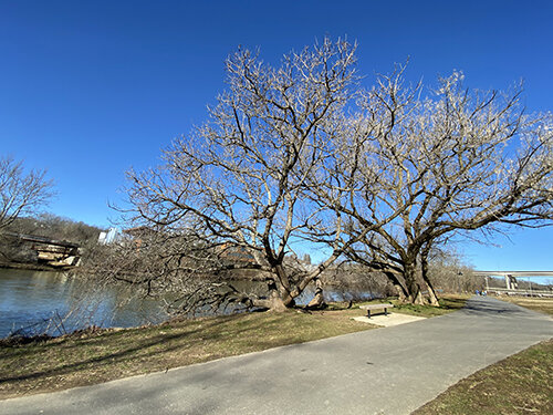 community-1-IMG_5456.jpg
