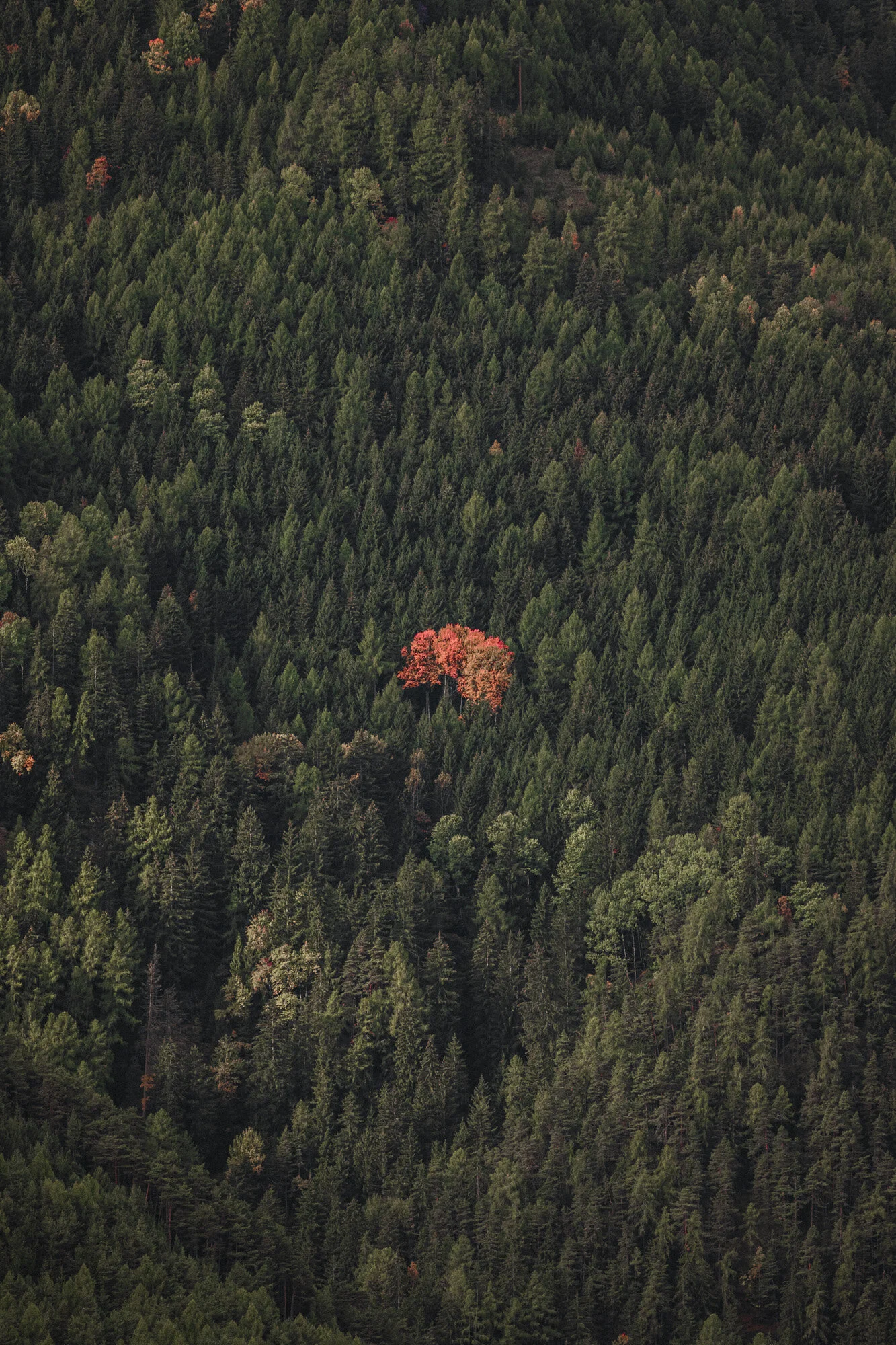 squarespace-82.JPG