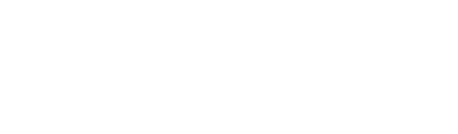 Family Fun at Zoomars.png