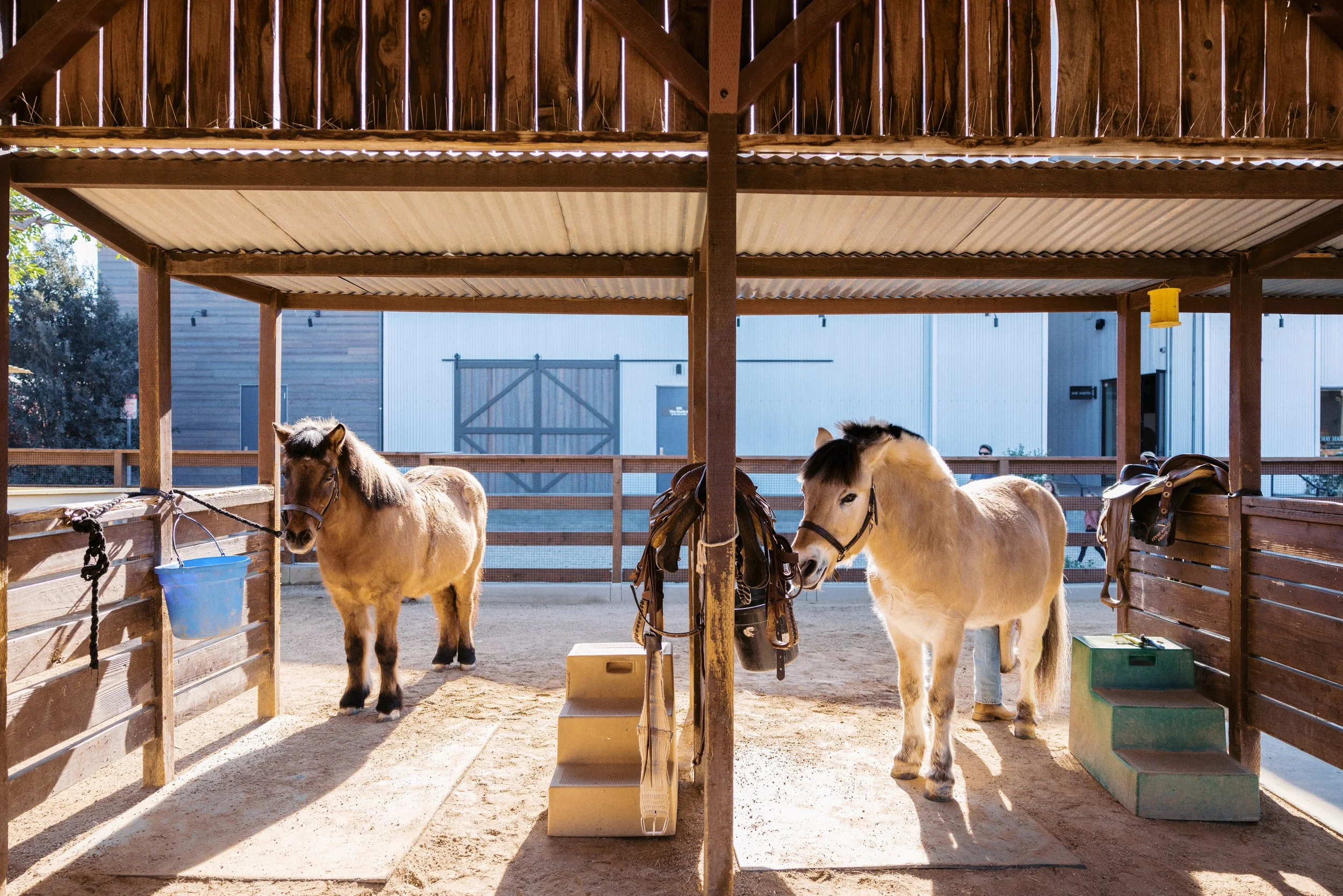 Plan a Visit — River Street Ranch