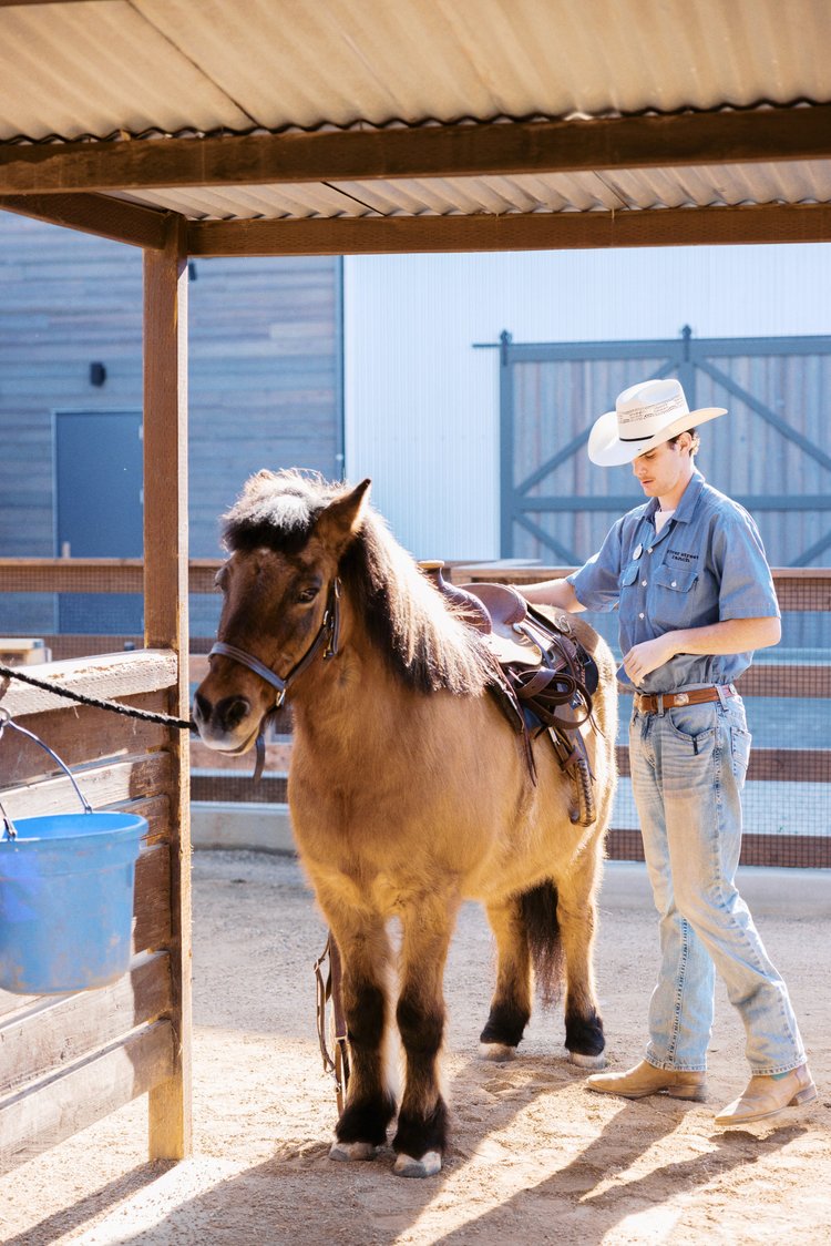 Pony