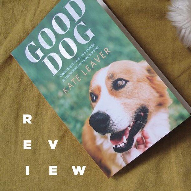 #WalkThe_Loves⁠
⁠
Good Dog by @KateiLeaver, is a book exploring &ldquo;the most extraordinary cross-species friendship on the planet.&rdquo; Published by Harper Collins April 20, 2020.⁠
⁠
Learn more about the special bond we share with our dogs, how 