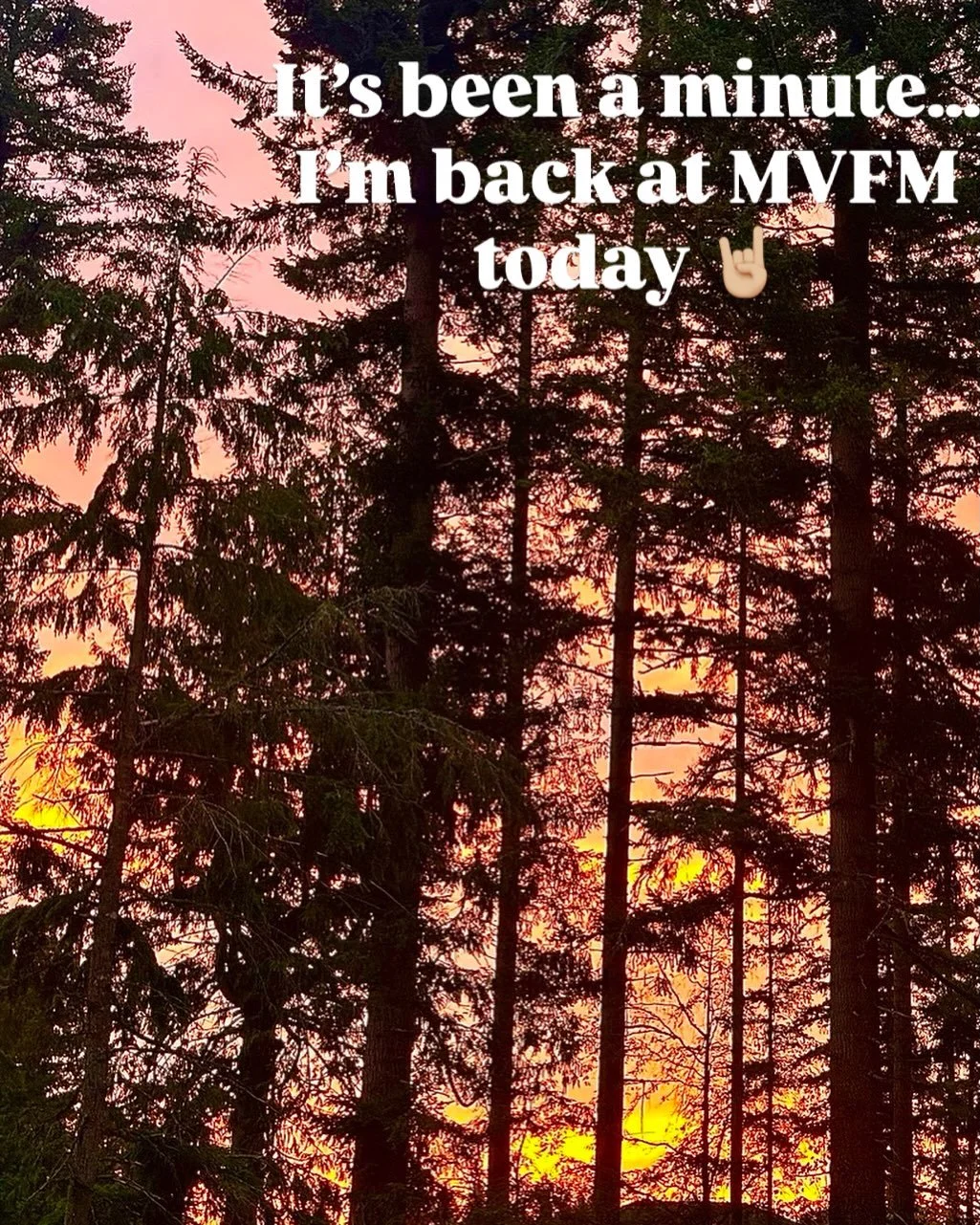 I&rsquo;ve missed my market family the last five weeks. But I&rsquo;m here.
.
.
#thesaturdayplacetobe #maplevalleyfarmersmarket  #farmersmarket #shoplocal #shopsmallbusiness
#shopsmall
#styksmokehaus 
#stykhaus