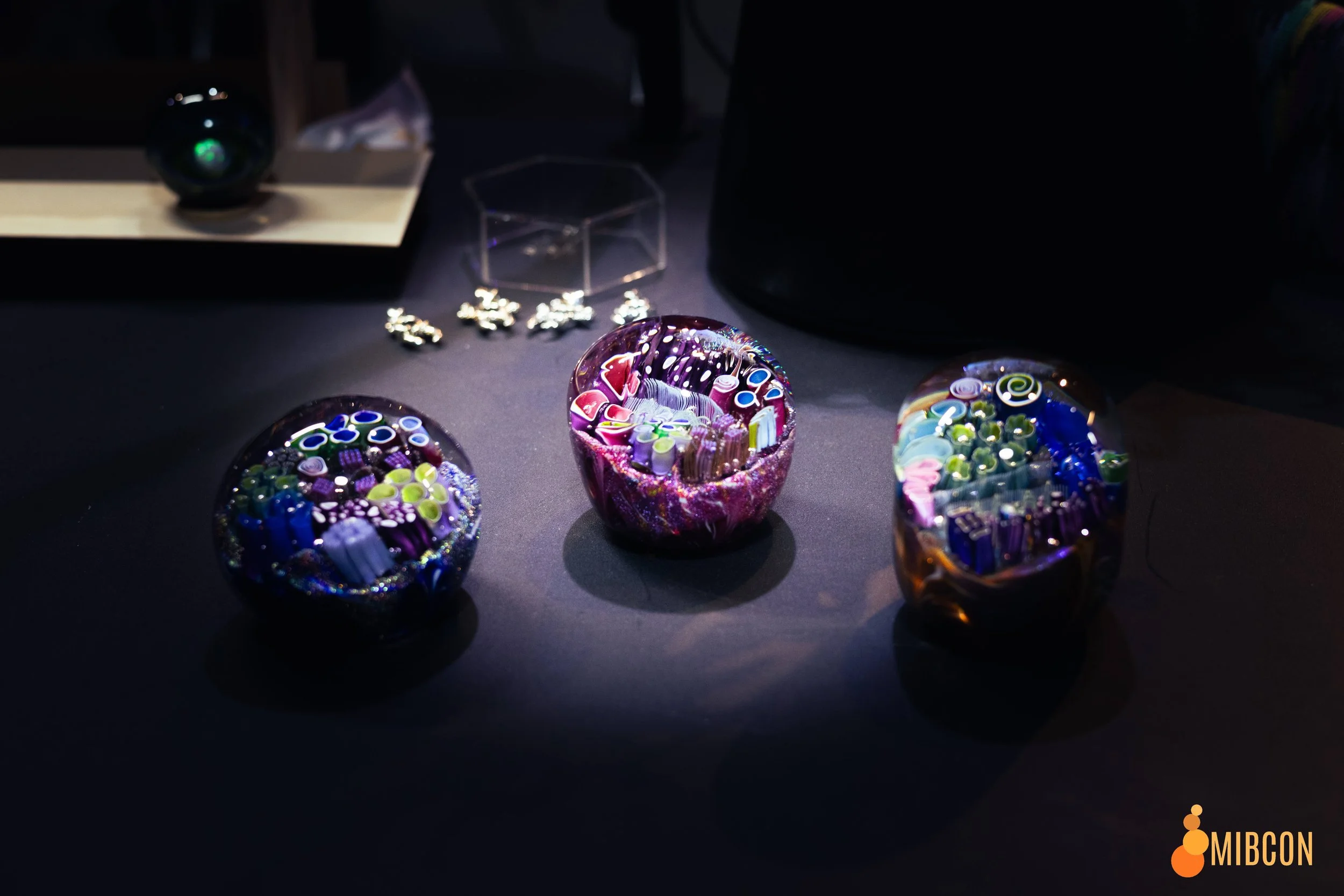 Photo Mar 08 2025, 4 12 07 AM.jpg