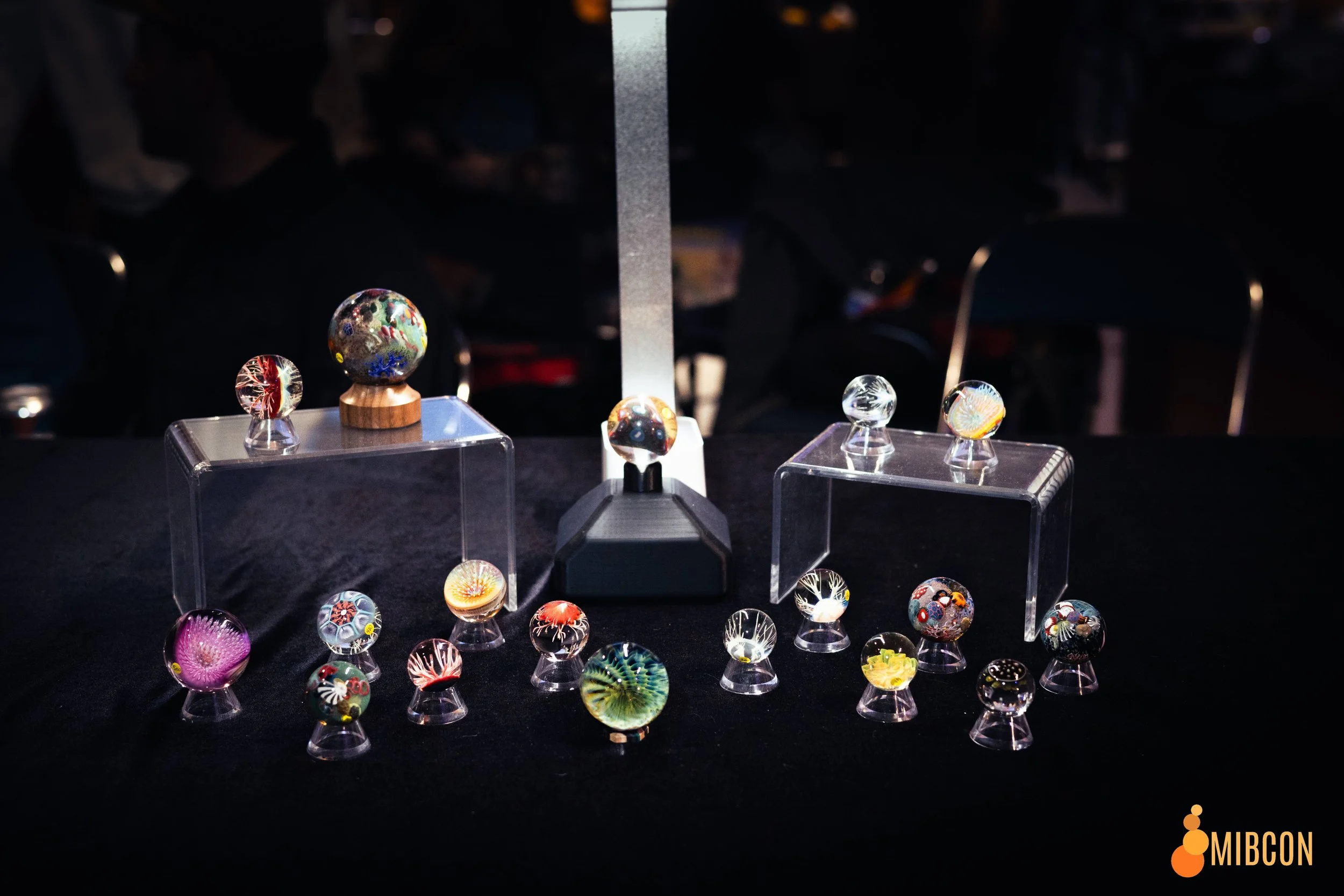 Photo Mar 08 2025, 4 09 30 AM.jpg