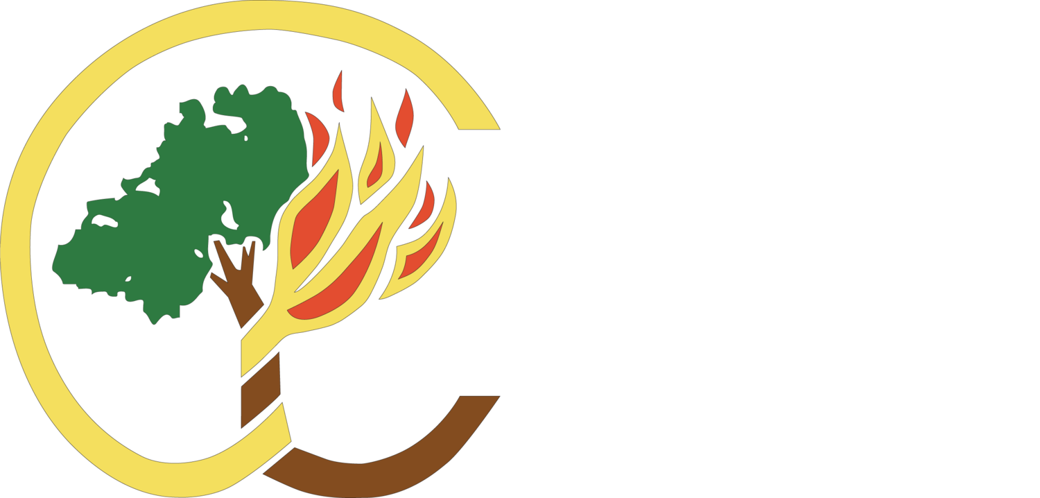 Association for Fire Ecology