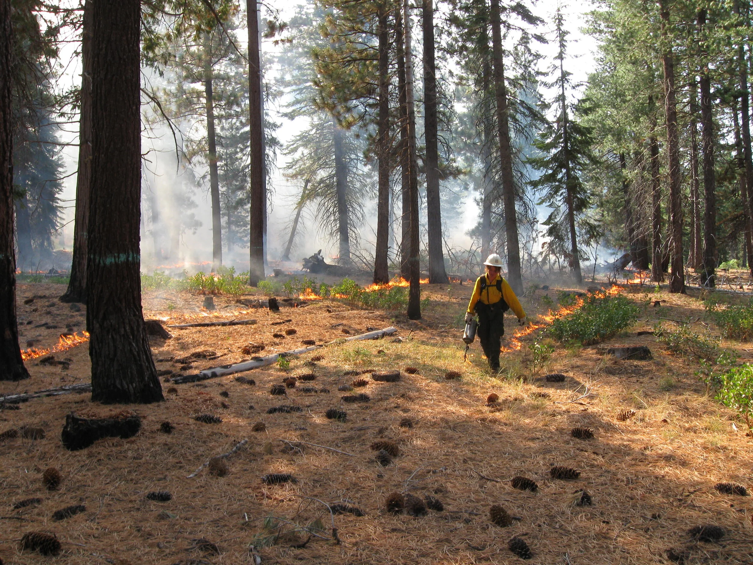 AFE Certification News