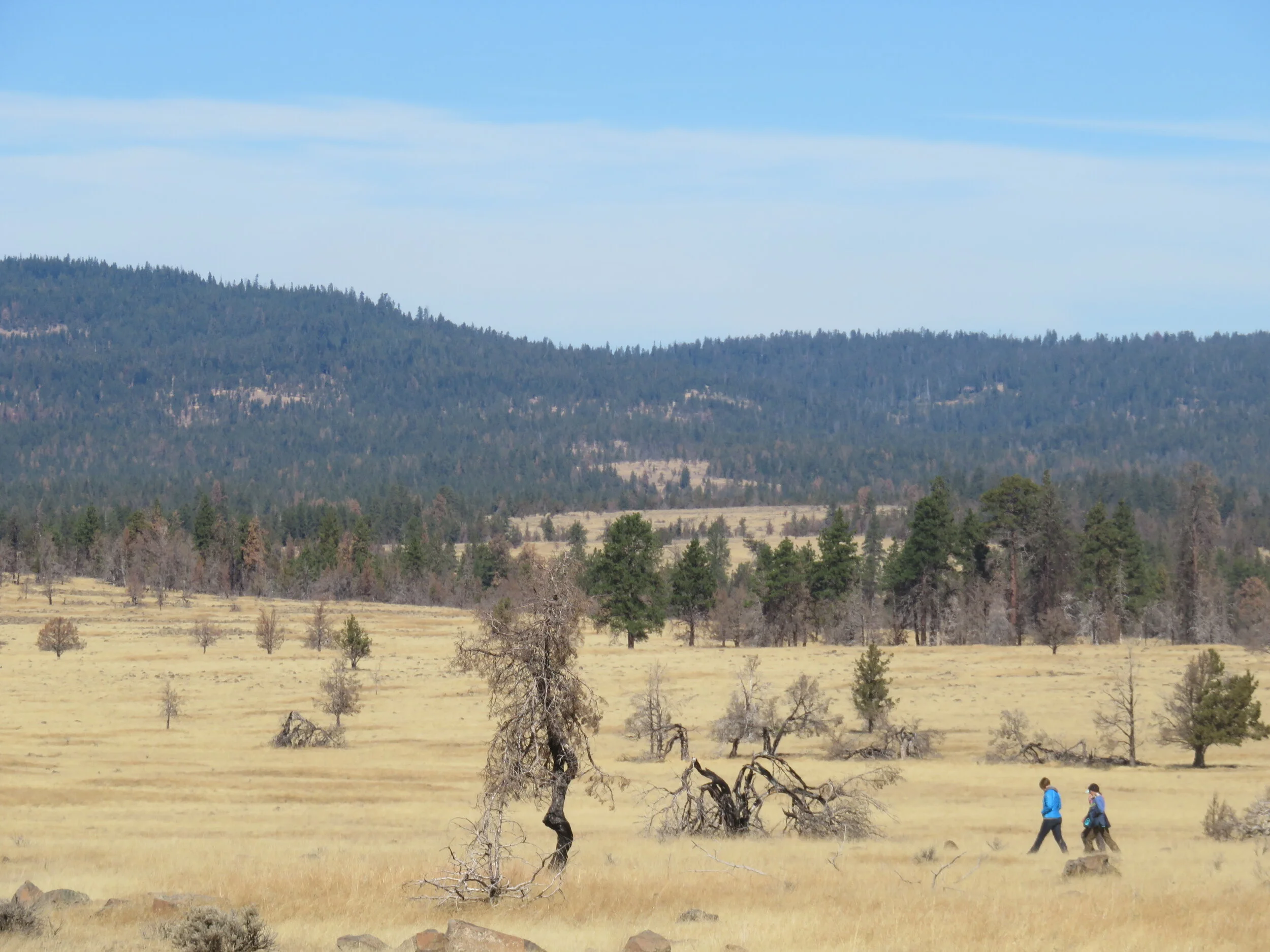 Harrison Scholarship Recipient Announced