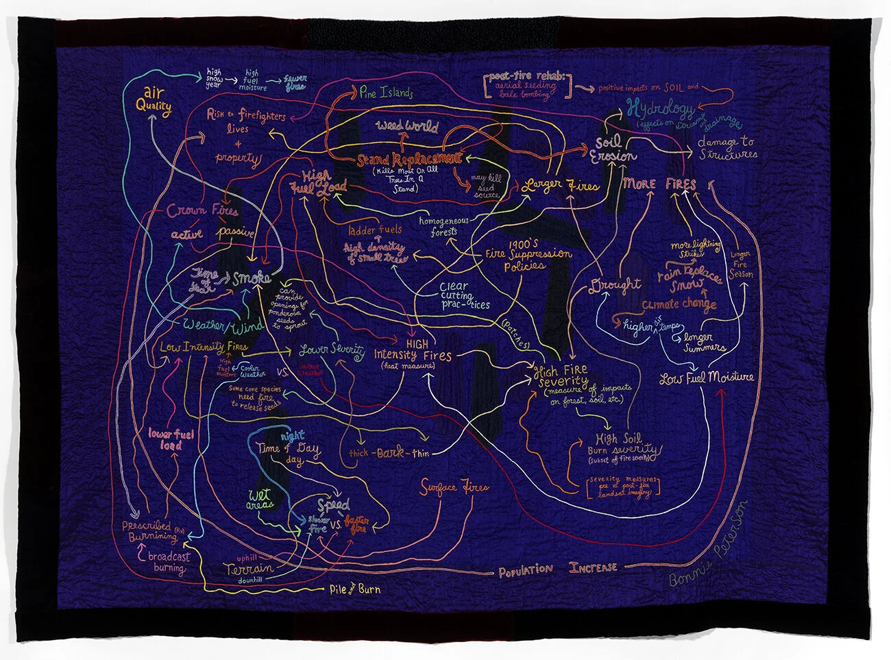 Podcast Episode 6: Communicating Fire Science through Art episode artwork