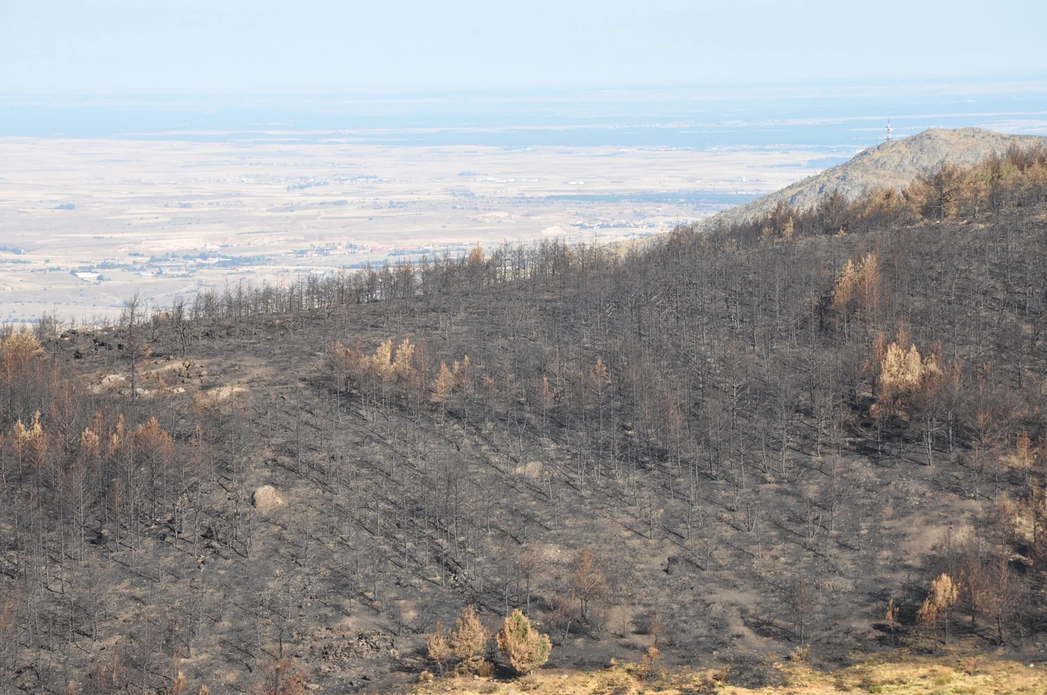 Podcast Episode 10: Spectral Indices and Soil Burn Severity episode artwork
