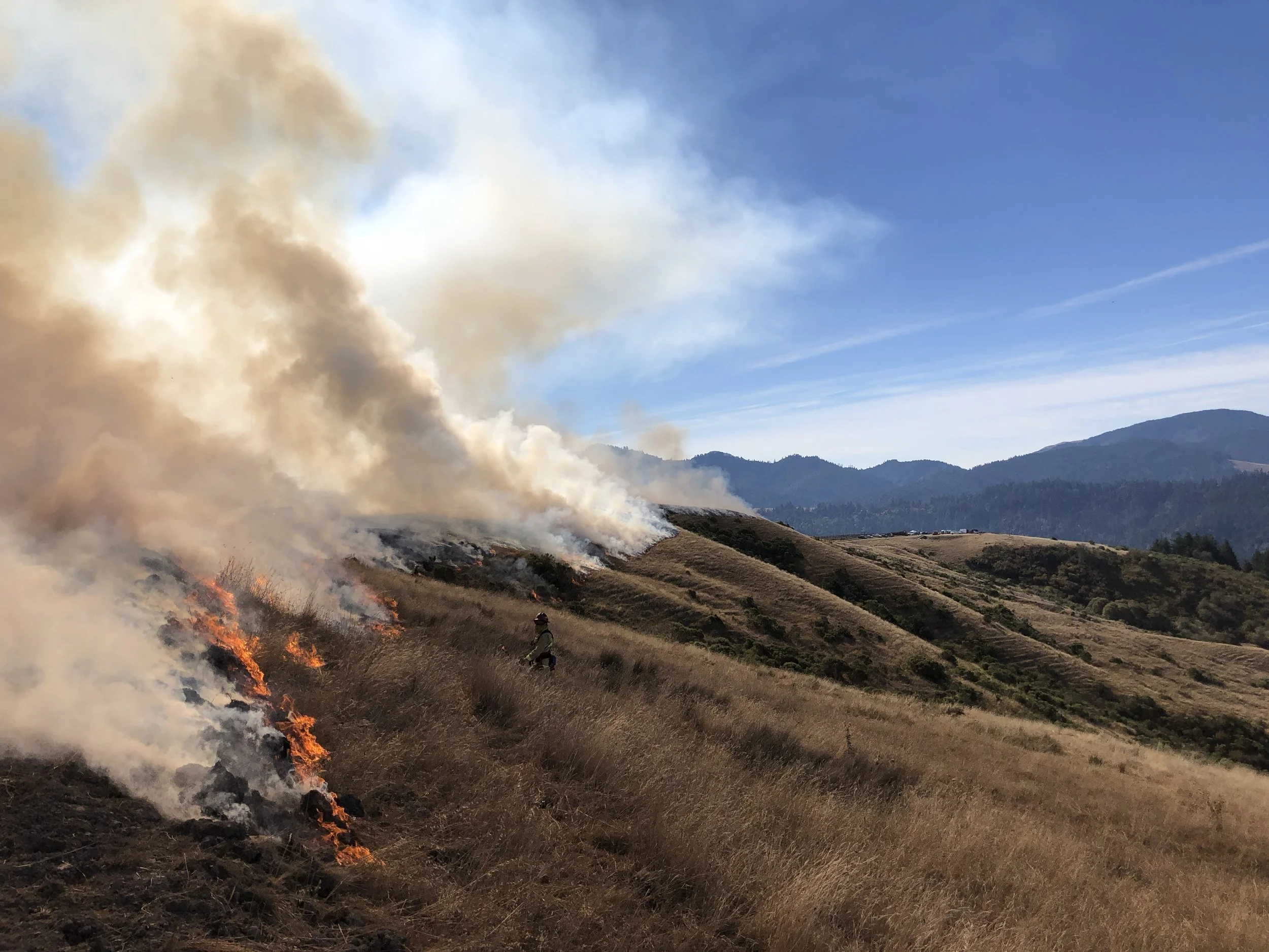 Save the Date: 10th International Fire Ecology and Management Congress