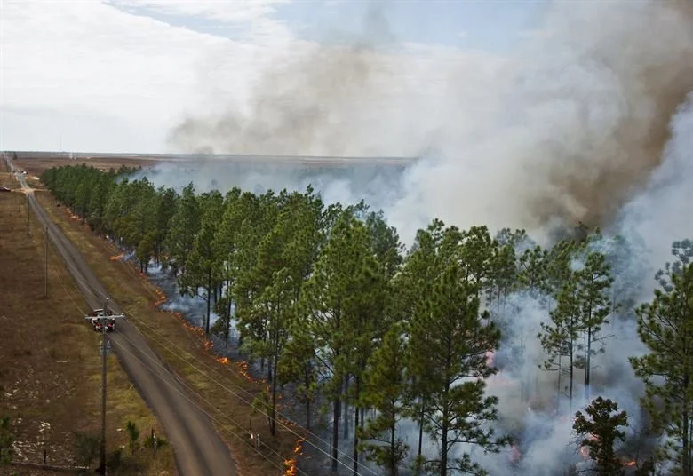  2022 Outstanding Associate Editor