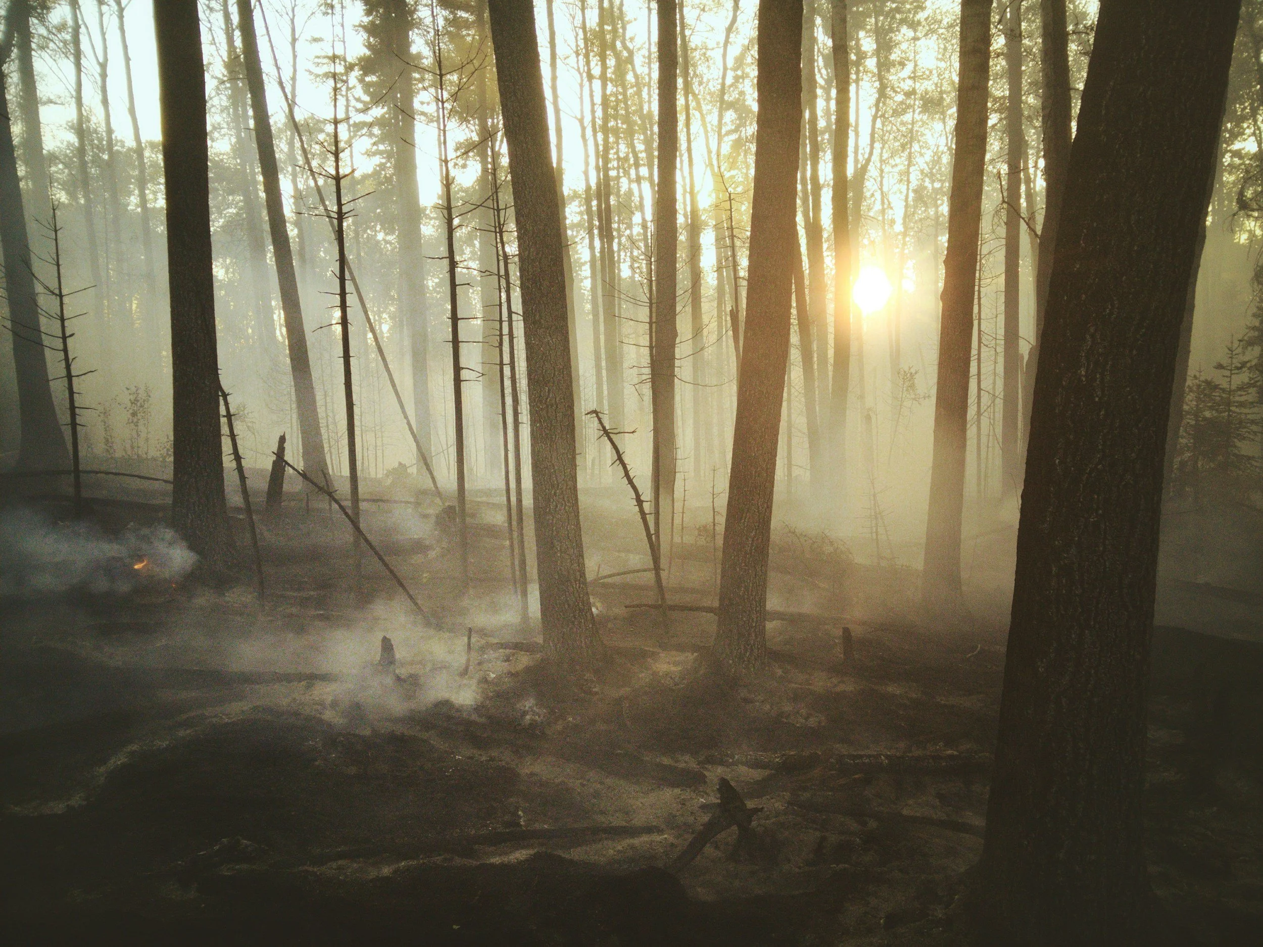 Fire & Traditional Knowledge Hot Topic, Northern Rockies Fire Science Network