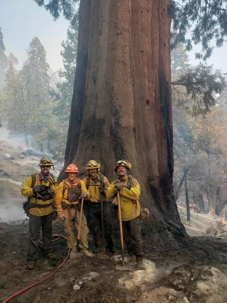 Congratulations 2024 Certified Wildland Fire Professionals