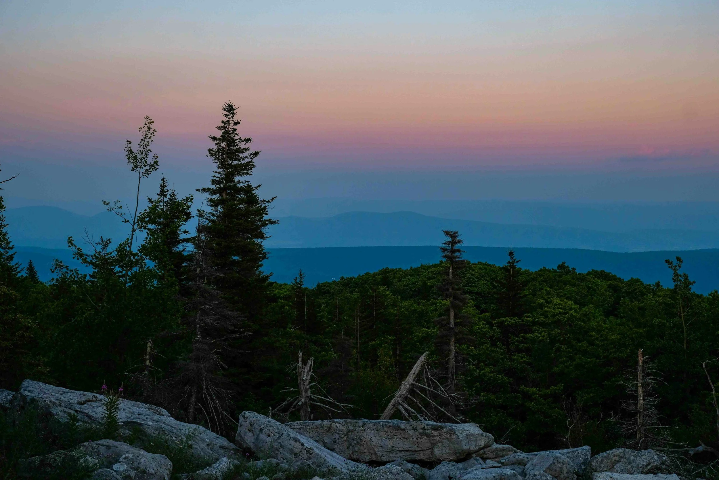 Bob Marshall Wilderness Complex: 1988 to 2020