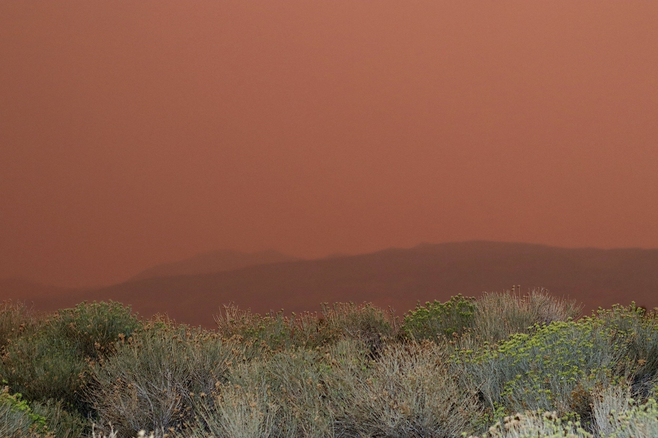 Implementing the Sagebrush Conservation Design to Save a Biome
