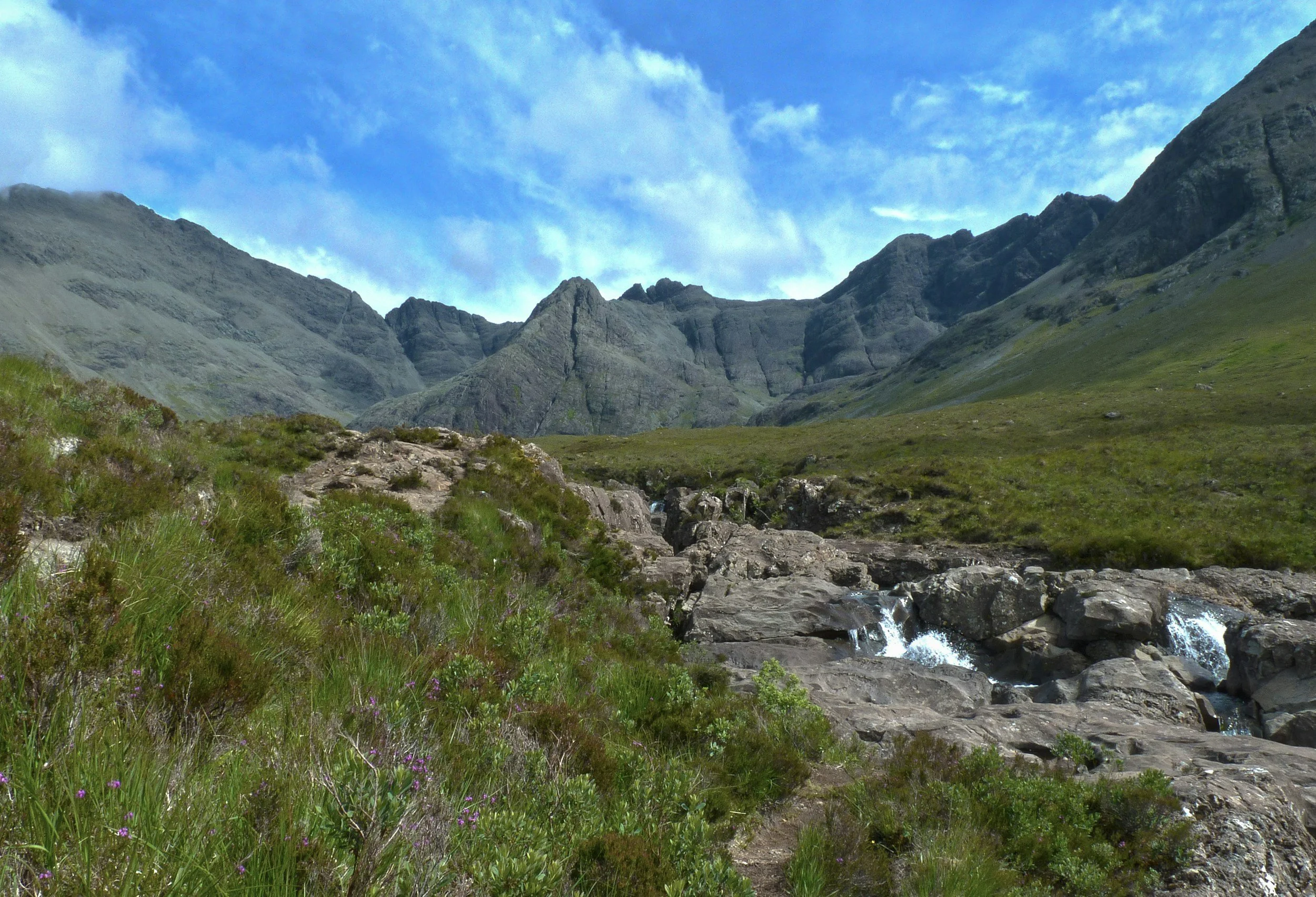 SCIENCEx Fire: Fuels Treatments in Non-Forested Systems - Rangelands, Grasslands, Shrublands and More