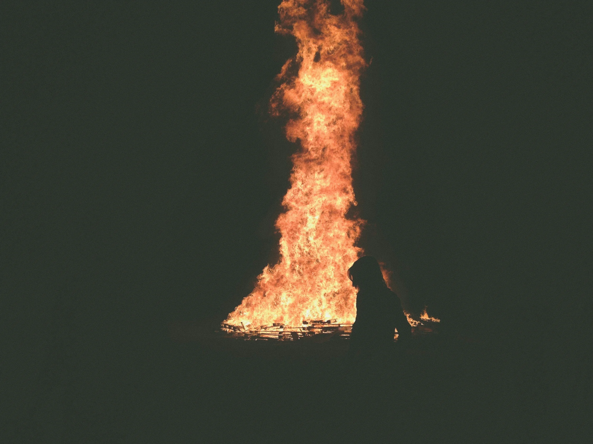 25th Annual MPFC Meeting &amp; 11th Annual Burning Issues Workshop / Grayling, MI