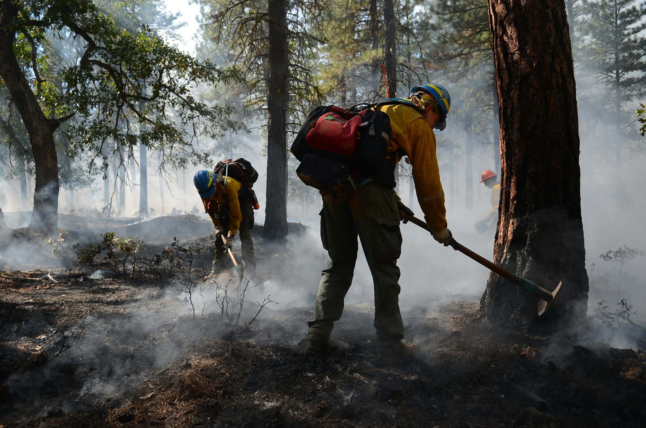 National Interagency Prescribed Fire Training Center Rx Fire Leadership Module