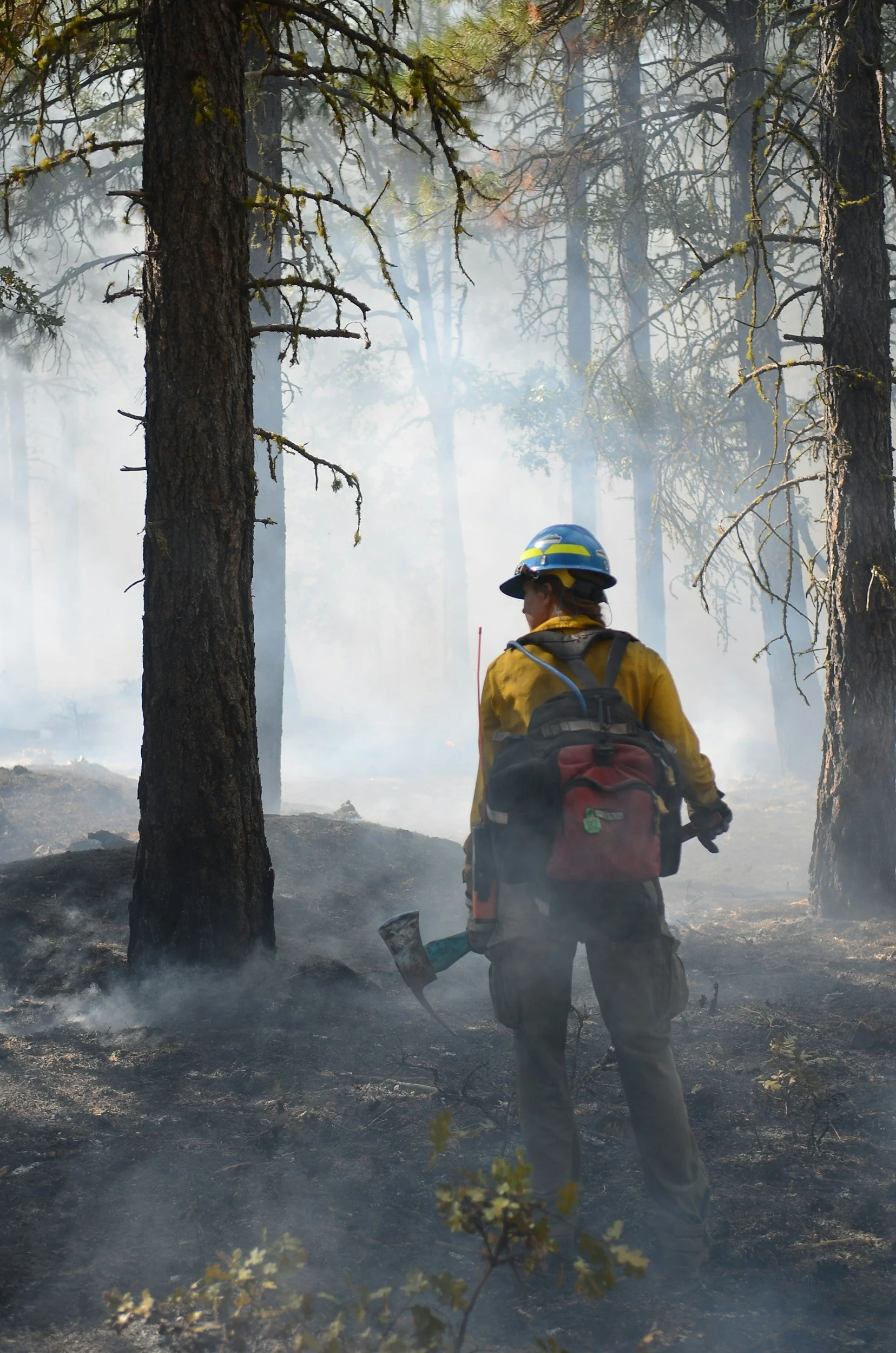 S-130/S-190/L-180: Basic Wildland Firefighter