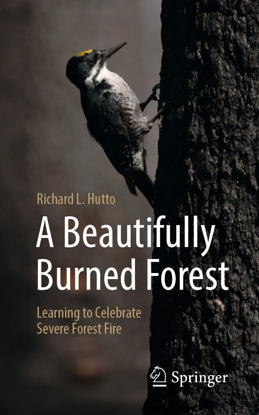 New Book: A Beautifully Burned Forest