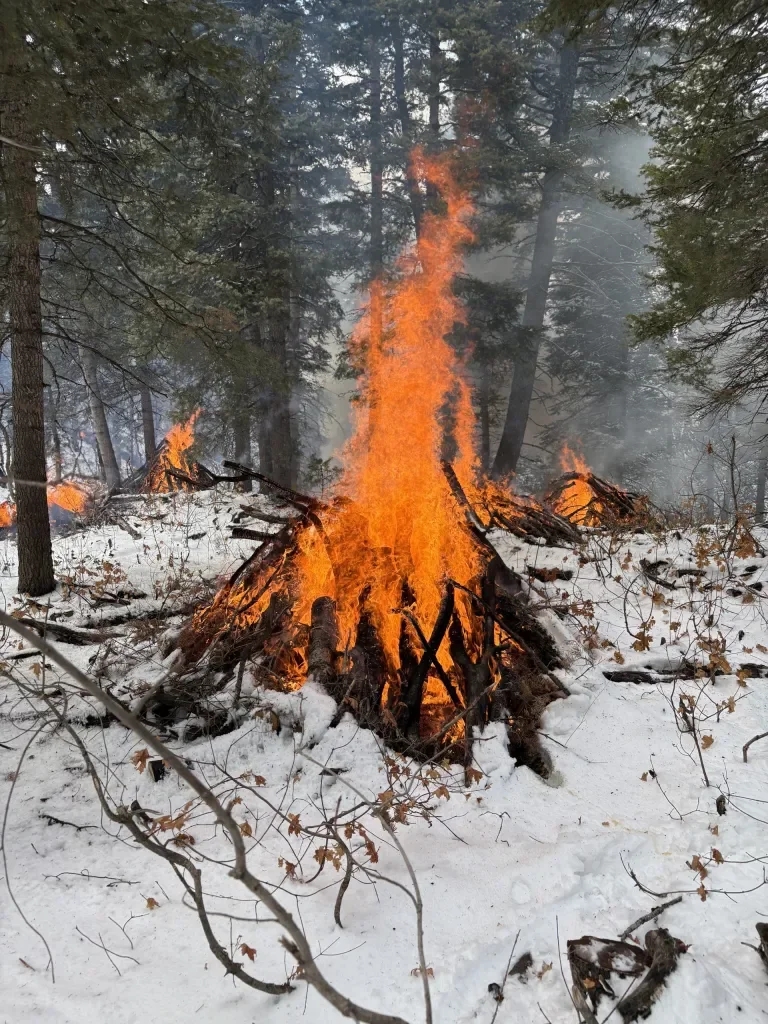 Pile-burning operation brings together agencies, students at 910 Cattle Ranch- The Park Record.