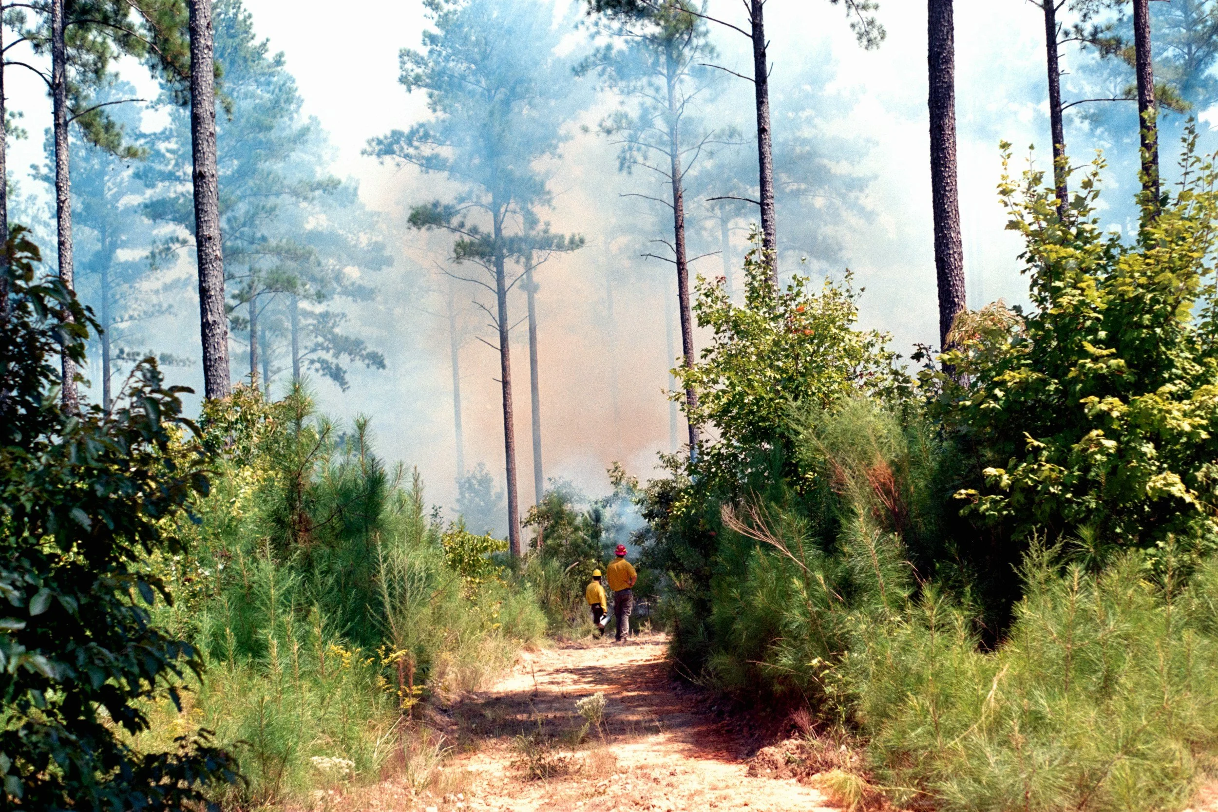 Episode 77: Power and planning: a critical discourse analysis of tribal and non-tribal Oregon wildfire protection plans