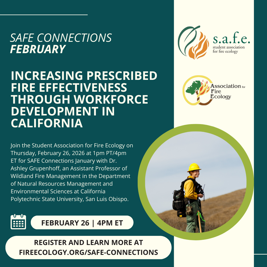 SAFE Connections February