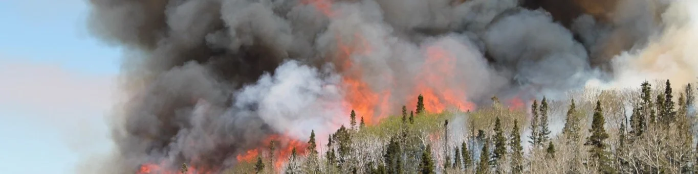 Fuel break effectiveness: What have we learned so far?