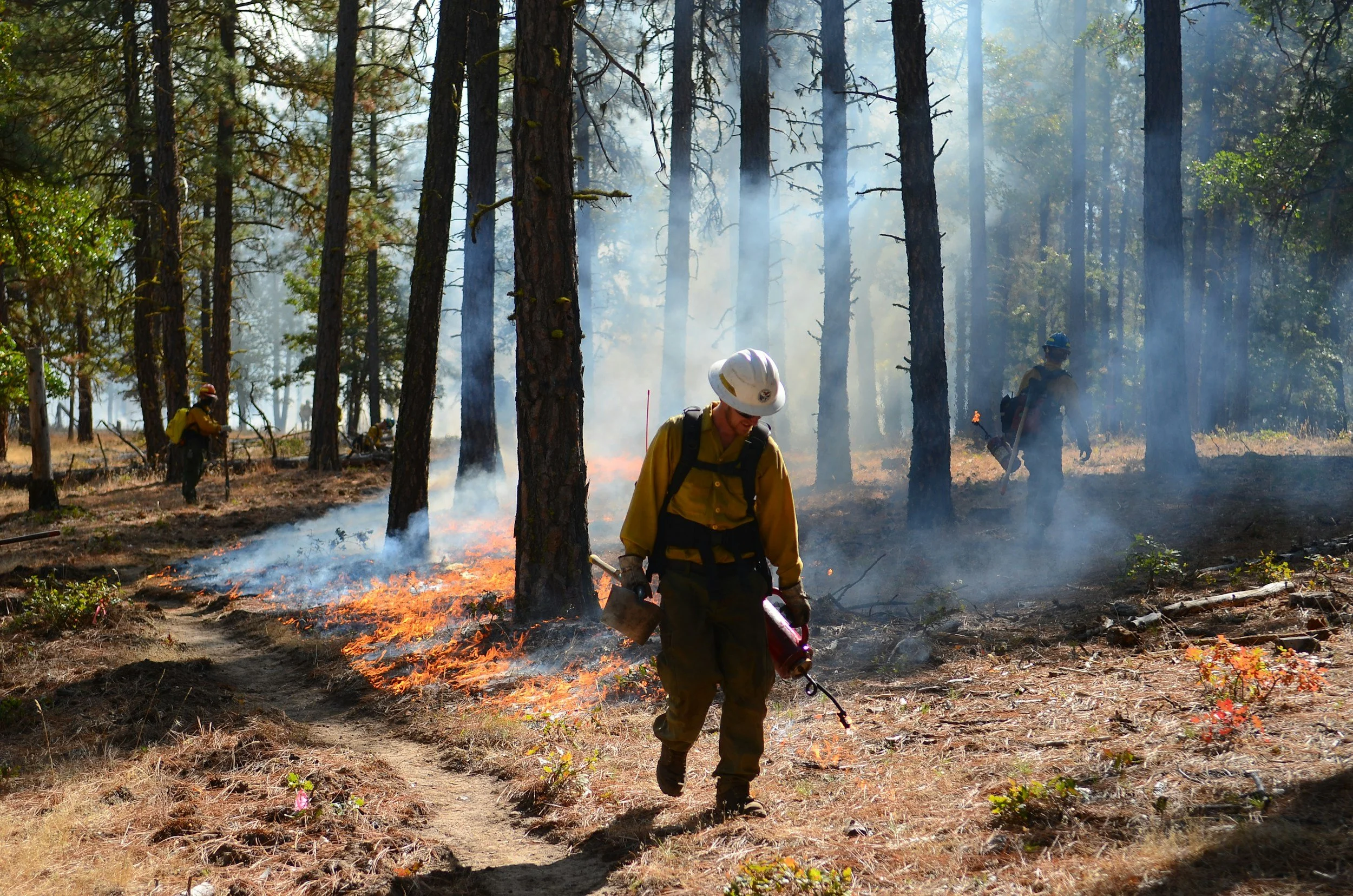 State of the Science on Wildland Firefighter Health and Wellbeing