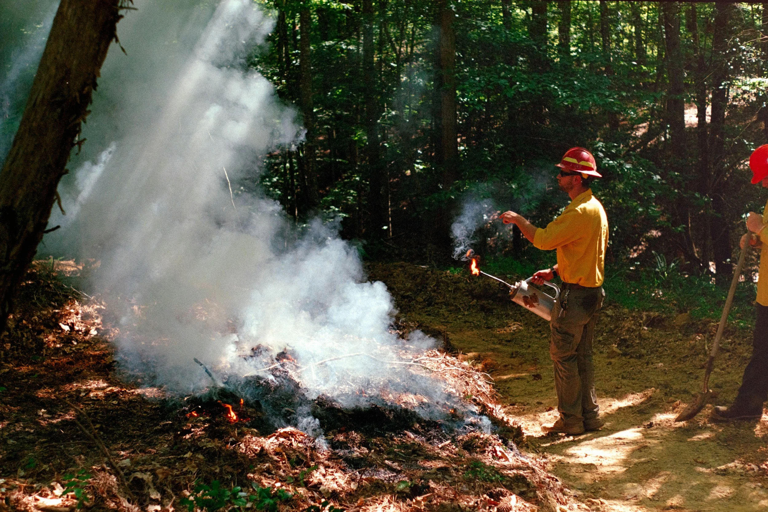 Community-Led Prescribed Fire and Fuels Reduction in Butte County, California