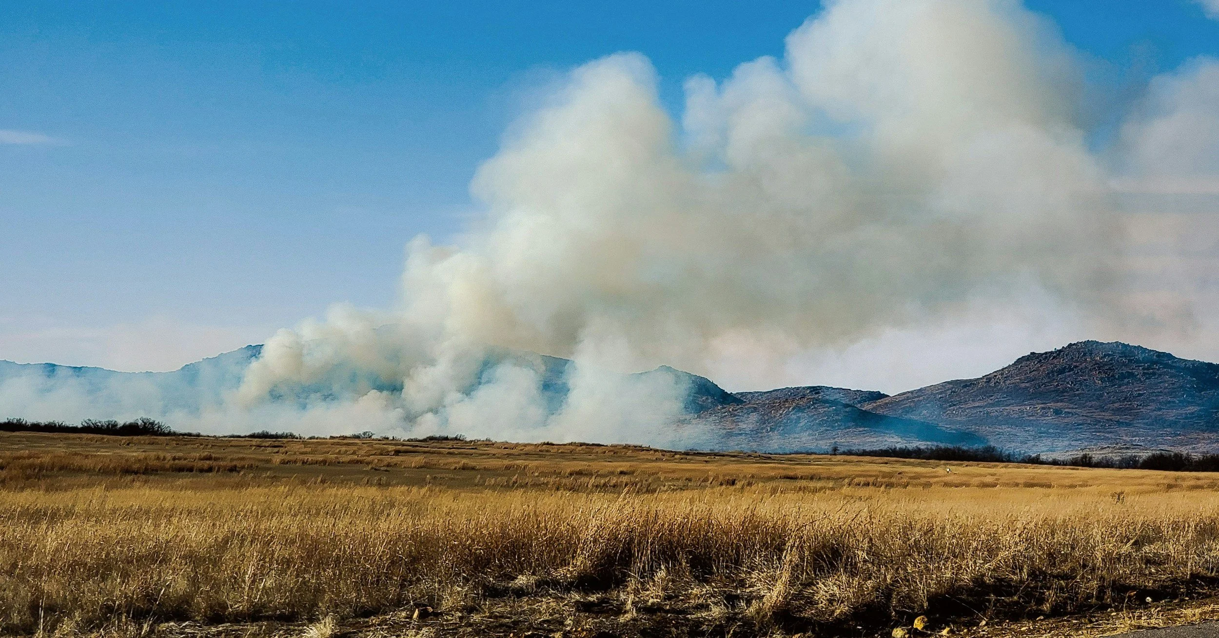 Embers of Insight: Ben Wheeler