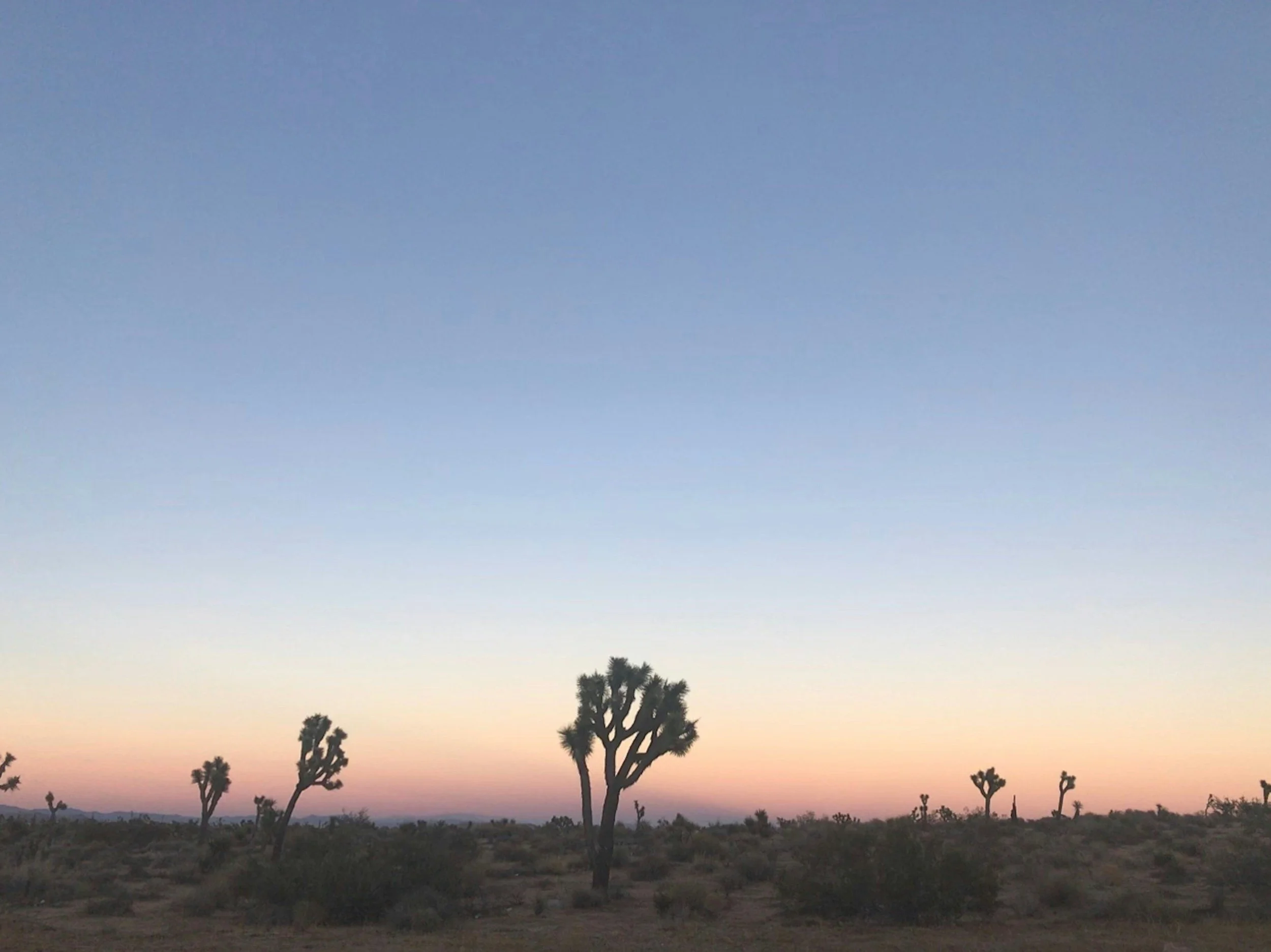 Episode 83: Mojave Desert microbial communities show high resistance and resilience over three years despite widespread plant mortality following the Dome Fire