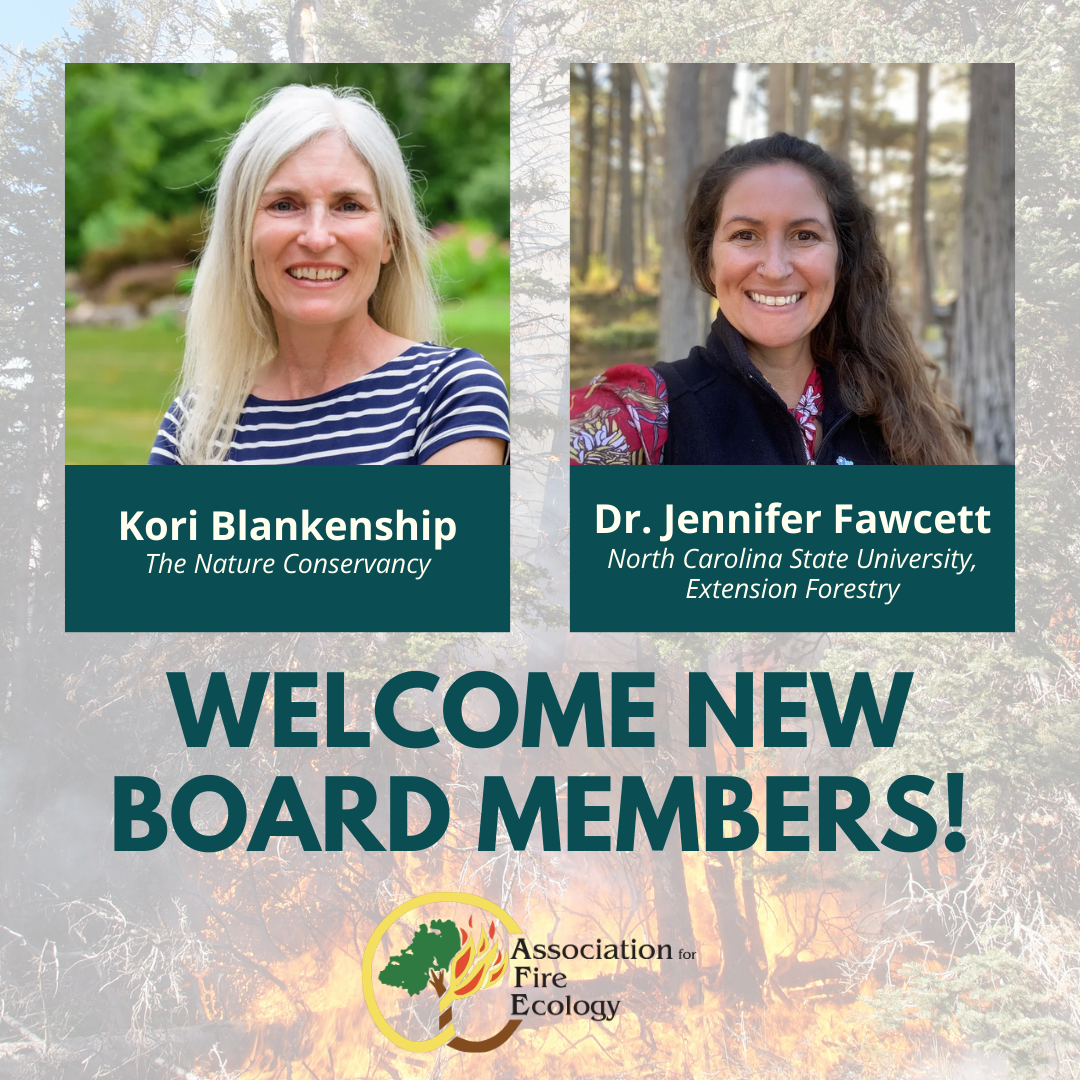 2026 AFE Board of Directors Updates