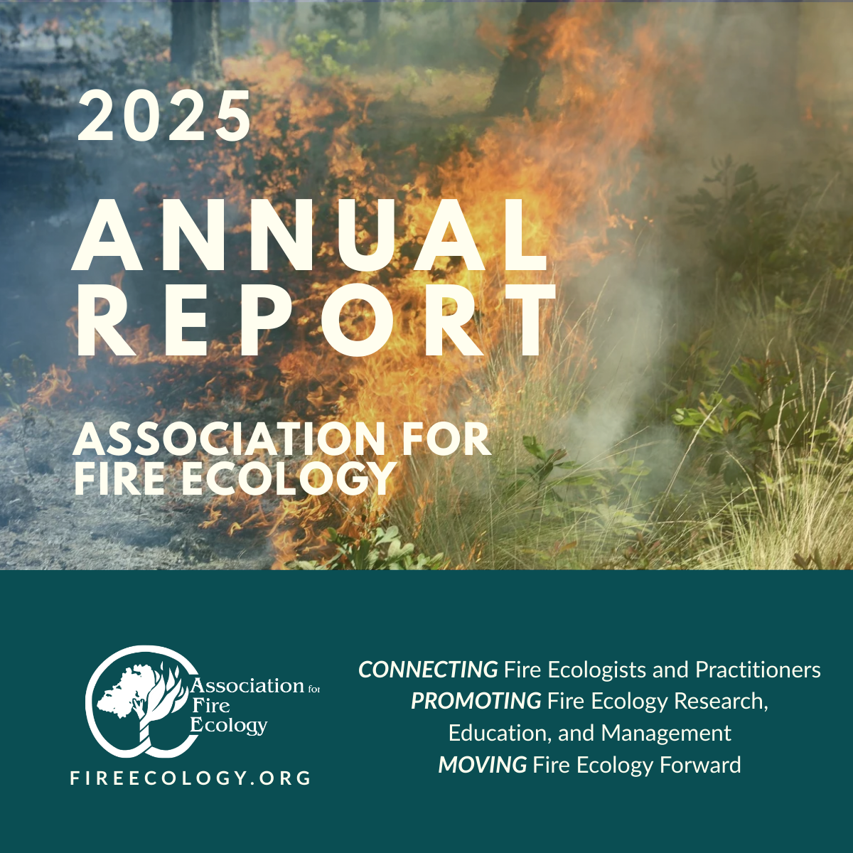 2025 Annual Report