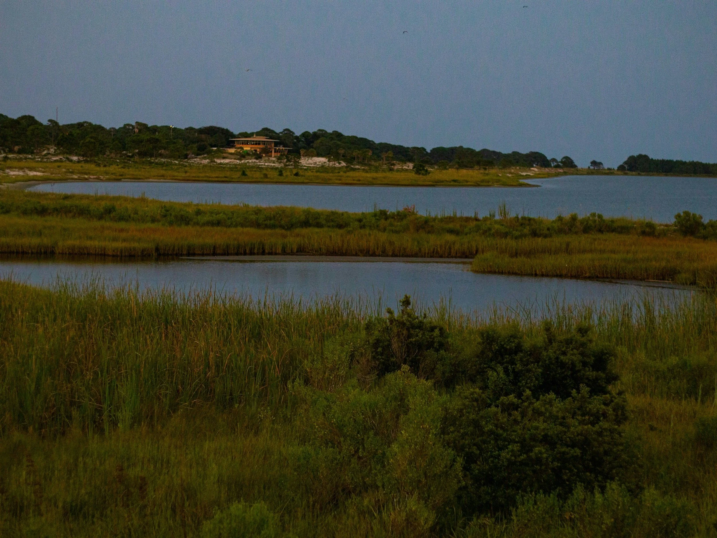 Burning for Birds: A Manual for Prescribed Fire in High Marshes of the Northern Gulf Coast