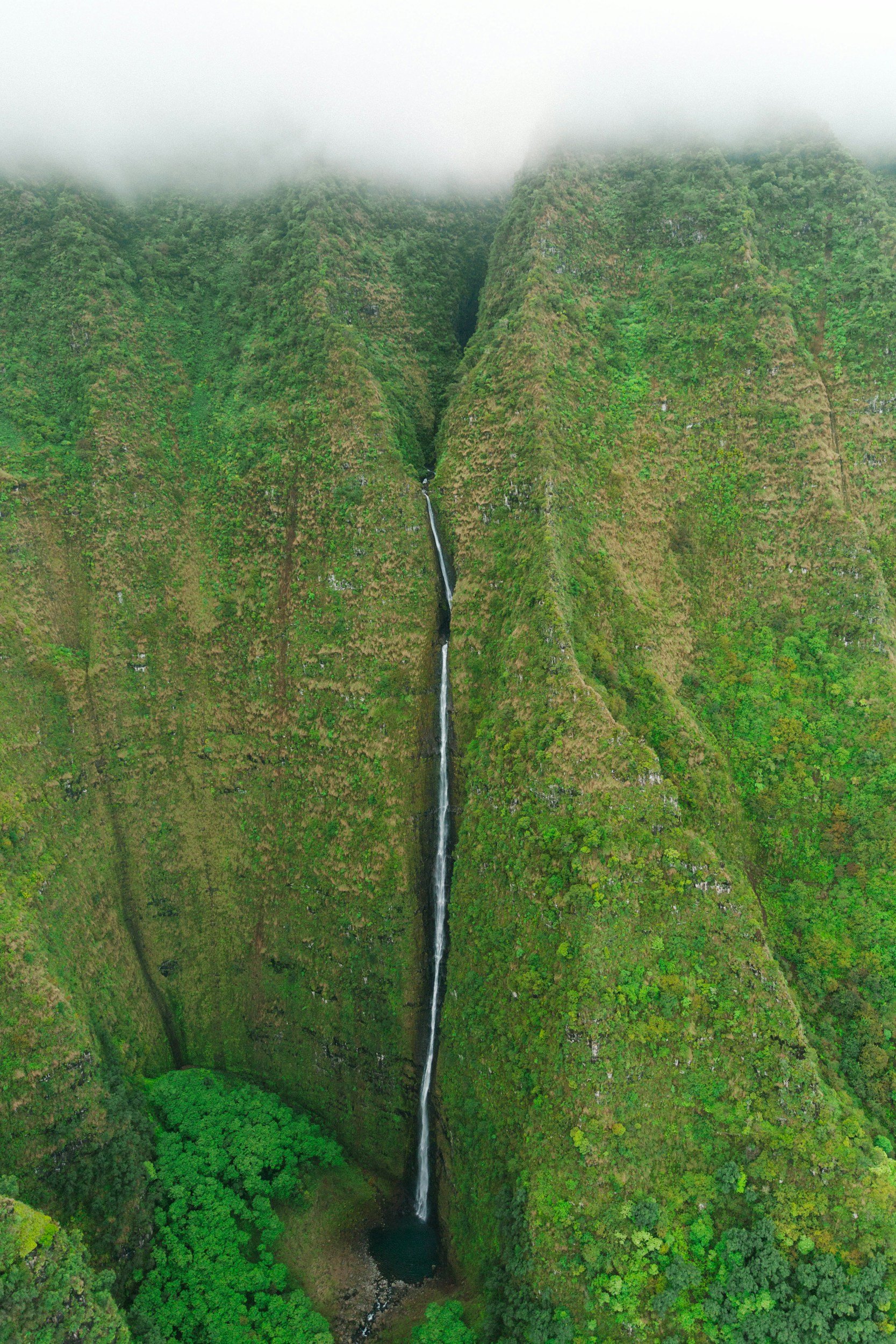 Managing Gulches: Wildfire Mitigation Lessons from the Field