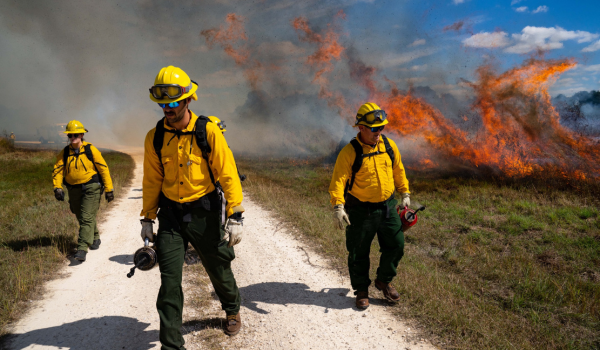 Texas Prescribed Fire Webinar Series: How to Avoid Trouble: Risk, Liability, and Decision-Making on Burn Day