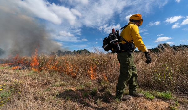 Texas Prescribed Fire Webinar Series: Differences in Seasonality of Fire: Winter, Growing Season, and Beyond
