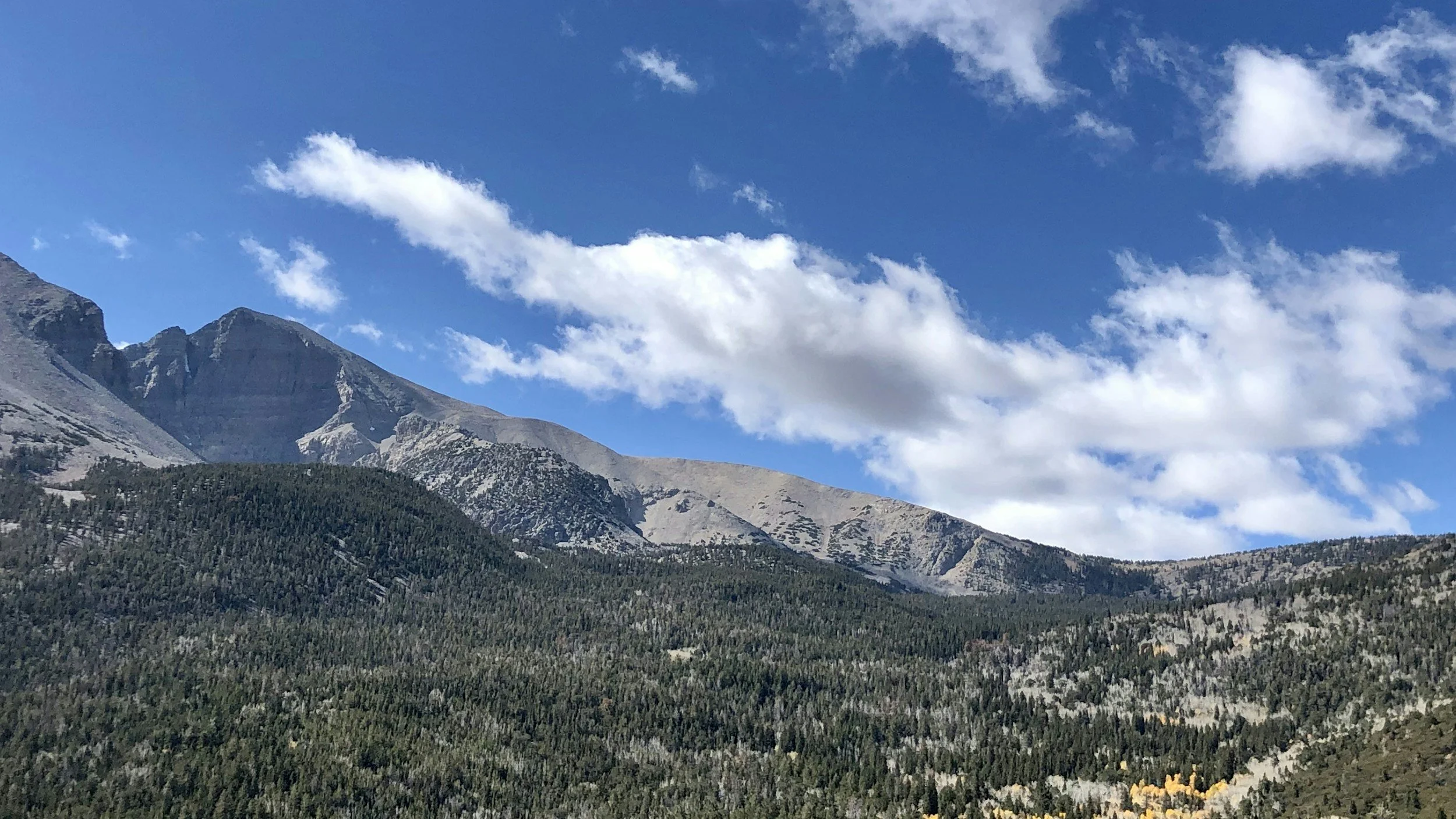 40-Year Perspective on Fire Rehabilitation and Restoration in the Great Basin