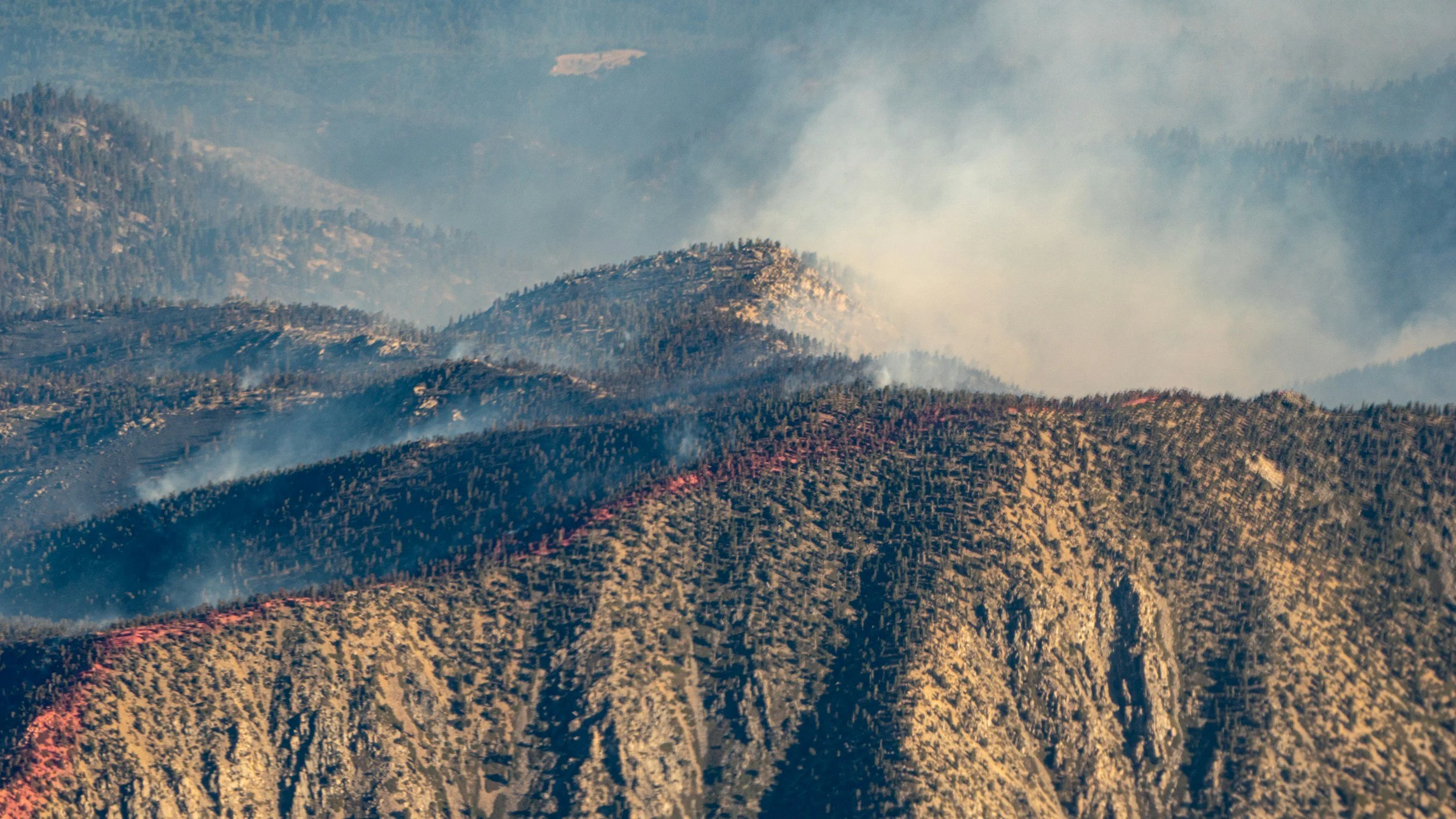 Fire Savvy: Finding and Navigating Fire Information in California