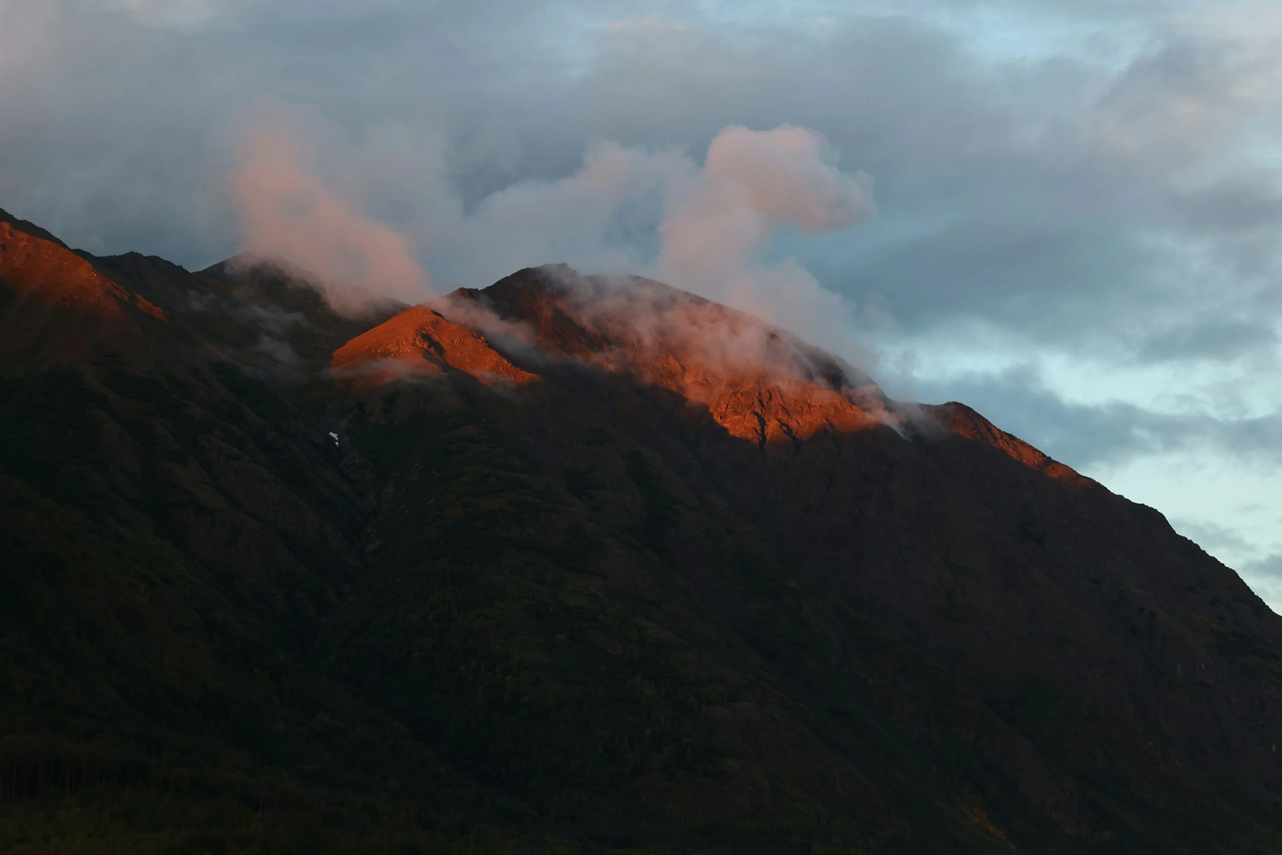 Seasonal Outlooks and Climate-Scale Analysis of Heat, Drought and Fire Risk in Alaska 