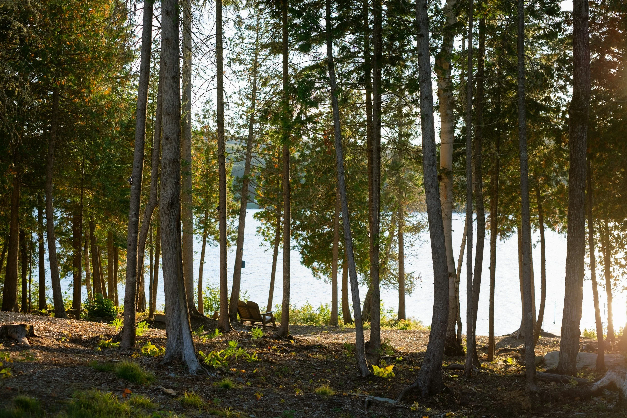 The Future of Forest Stewardship Workshop and National Guild Gathering