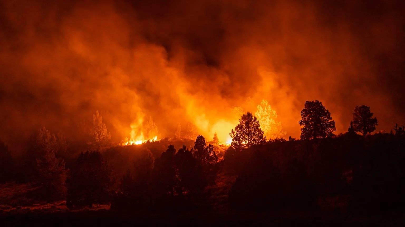 Wildland Fire: Positive and Negative Impacts to Wildfire Habitat