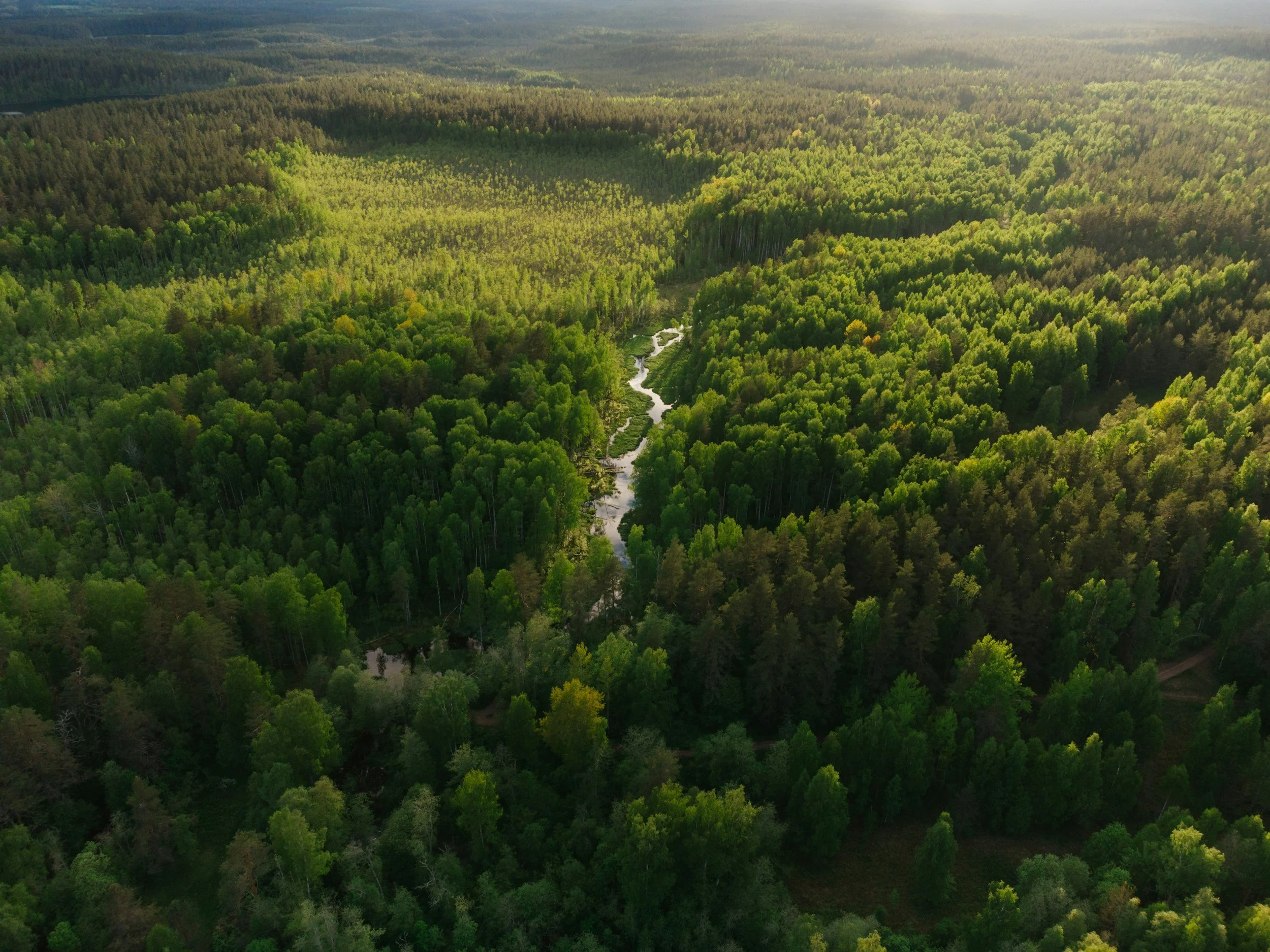 Estimating Biomass and Change with GEDI and the OBIWAN API Part 2
