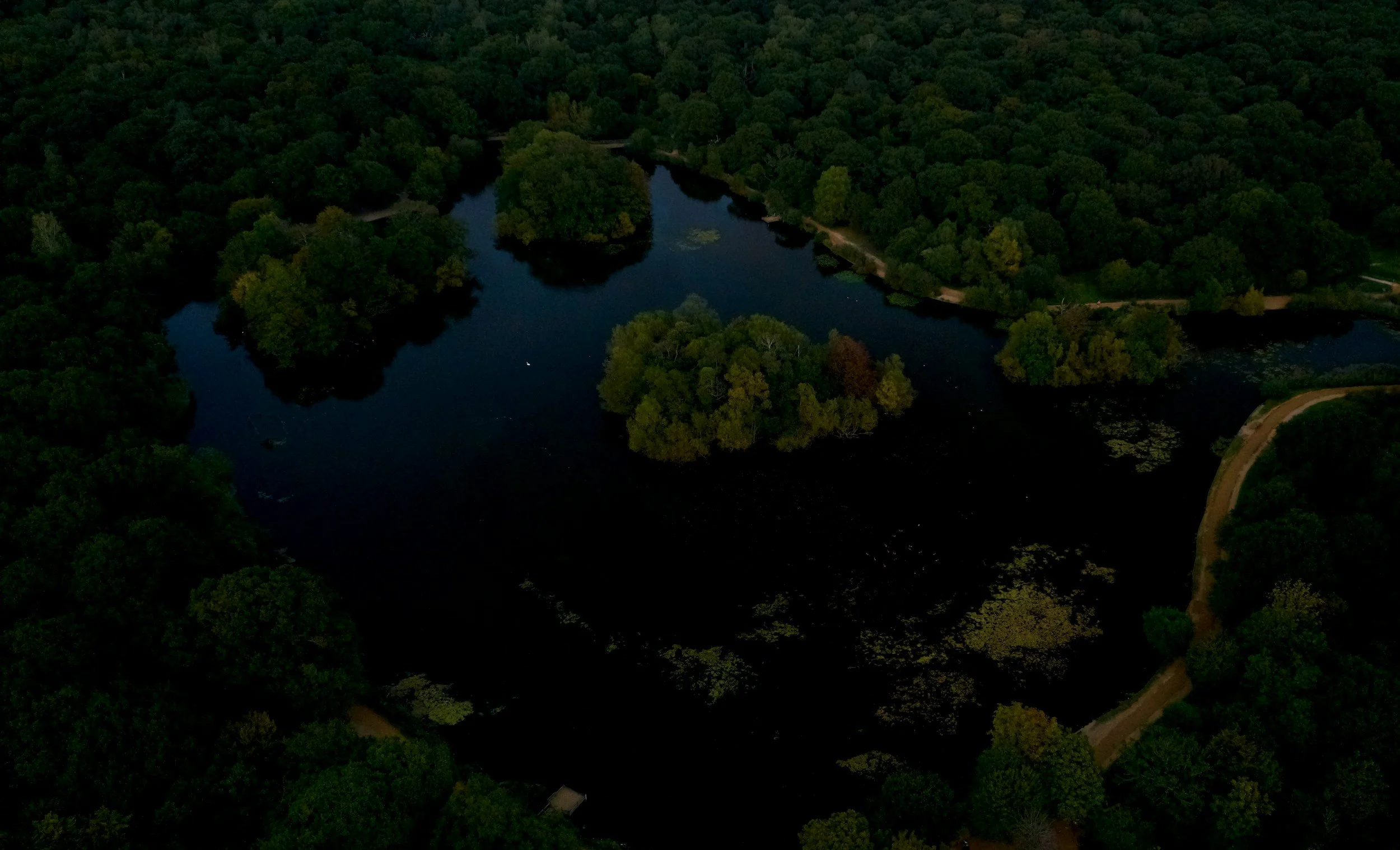 Episode 96: Fire history and tree invasion in an Ozark glade, barrens, and woodland complex
