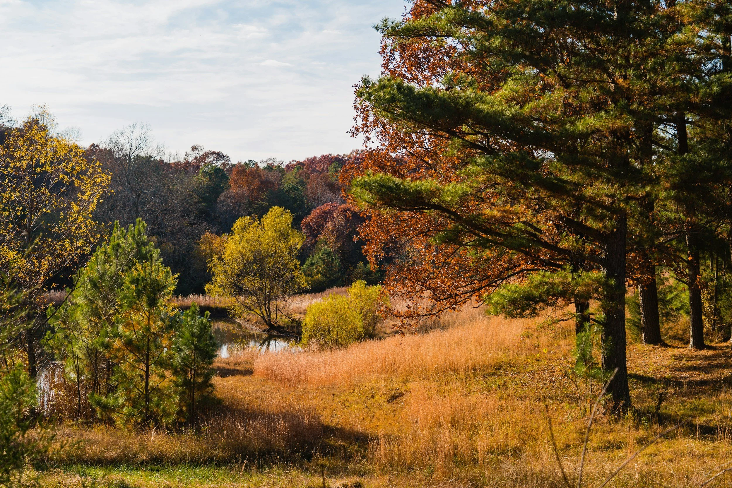 14th Eastern Native Grasslands Symposium