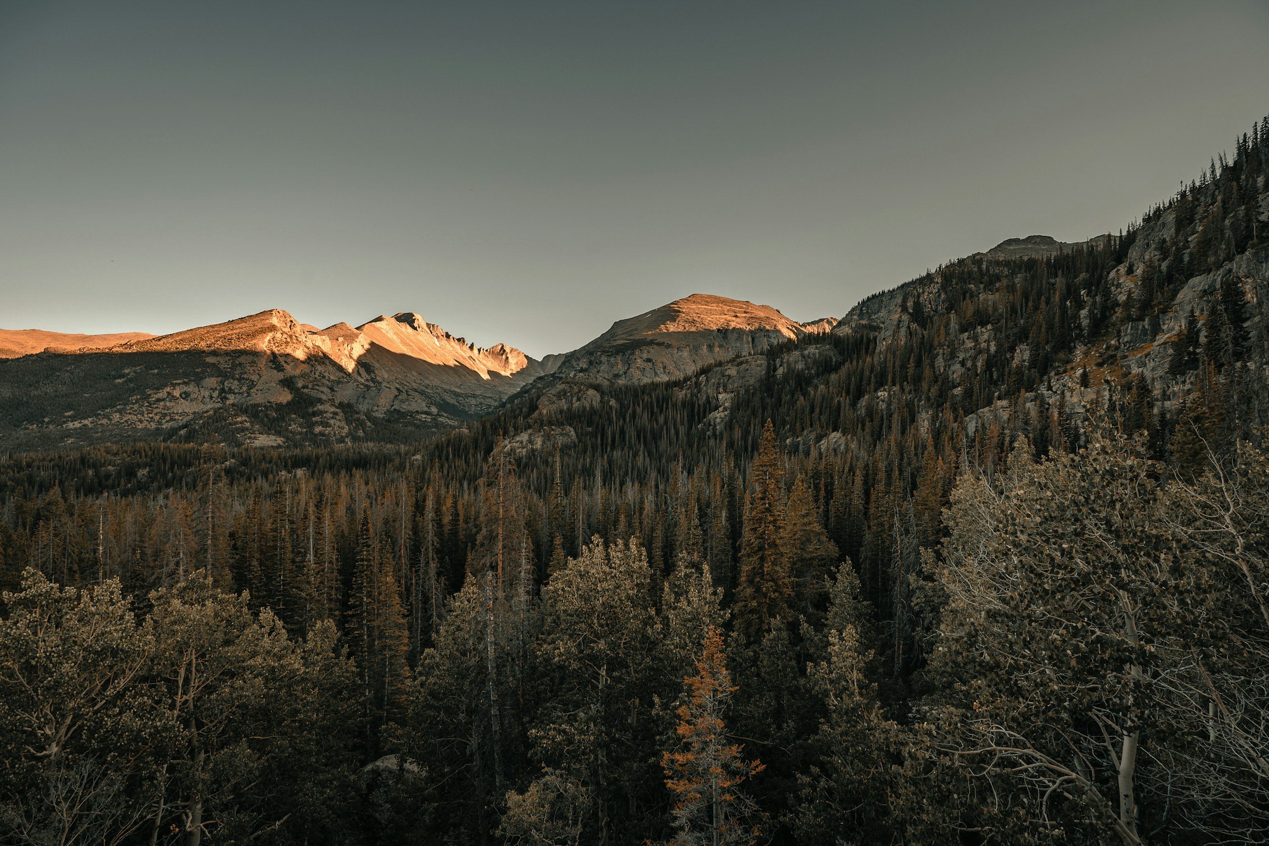 Colorado Forest Restoration &amp; Wildfire Risk Mitigation Grant Program