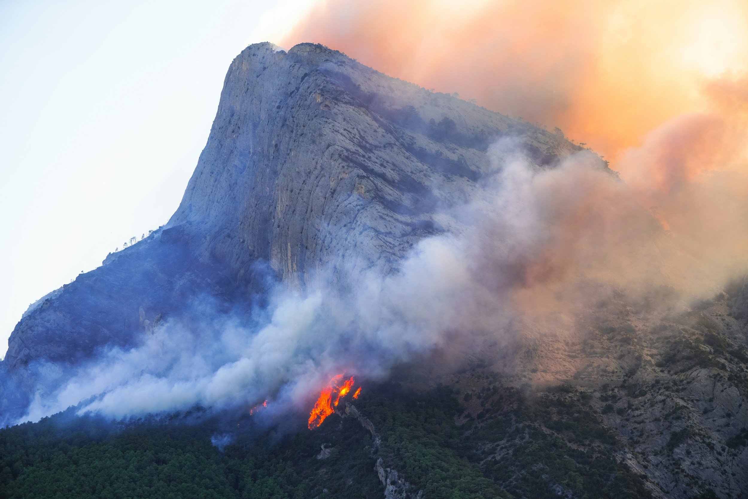S-290: Intermediate Wildland Fire Behavior